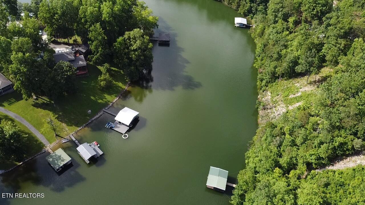 300 Bluff Trace, Jacksboro, TN - Norris Lake Real Estate - Image# 14