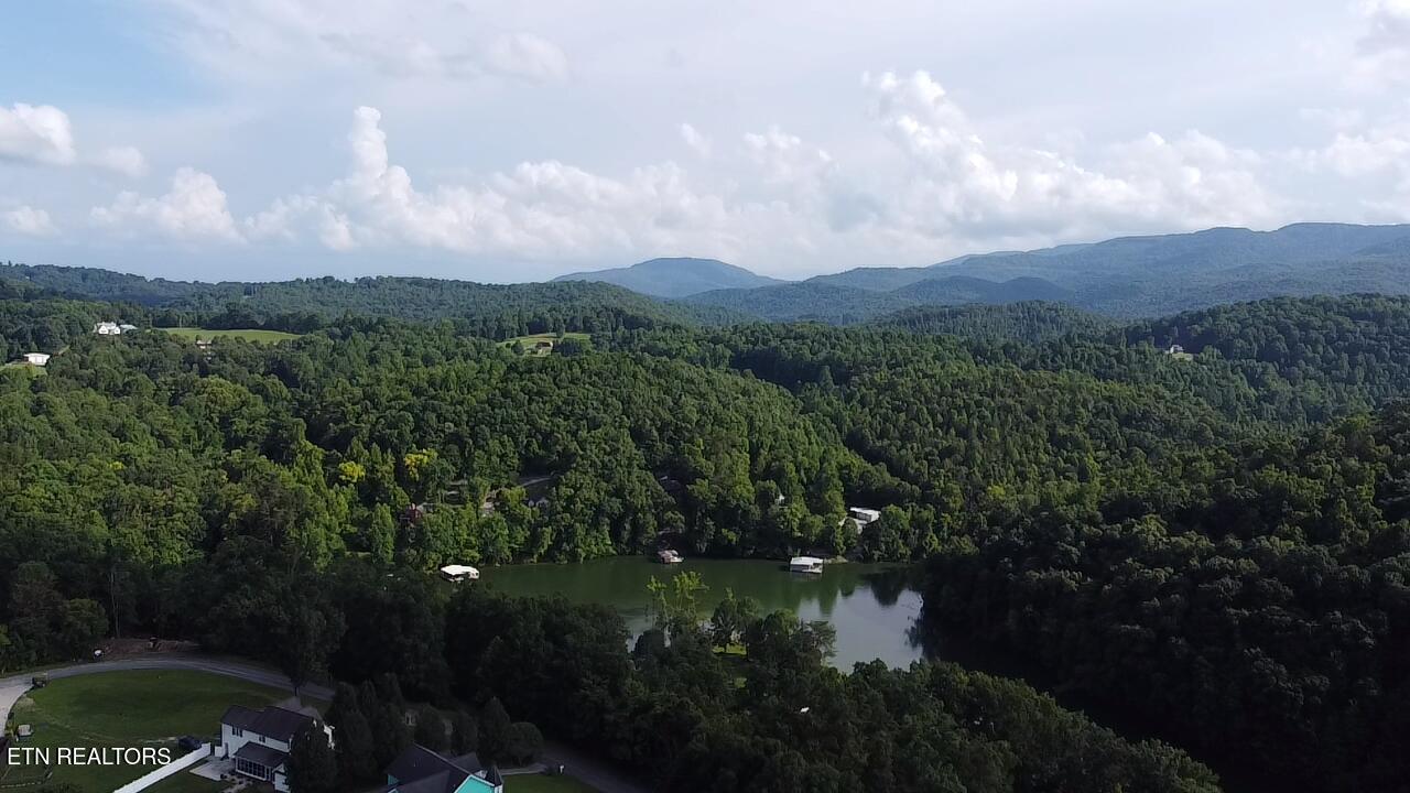 300 Bluff Trace, Jacksboro, TN - Norris Lake Real Estate - Image# 16