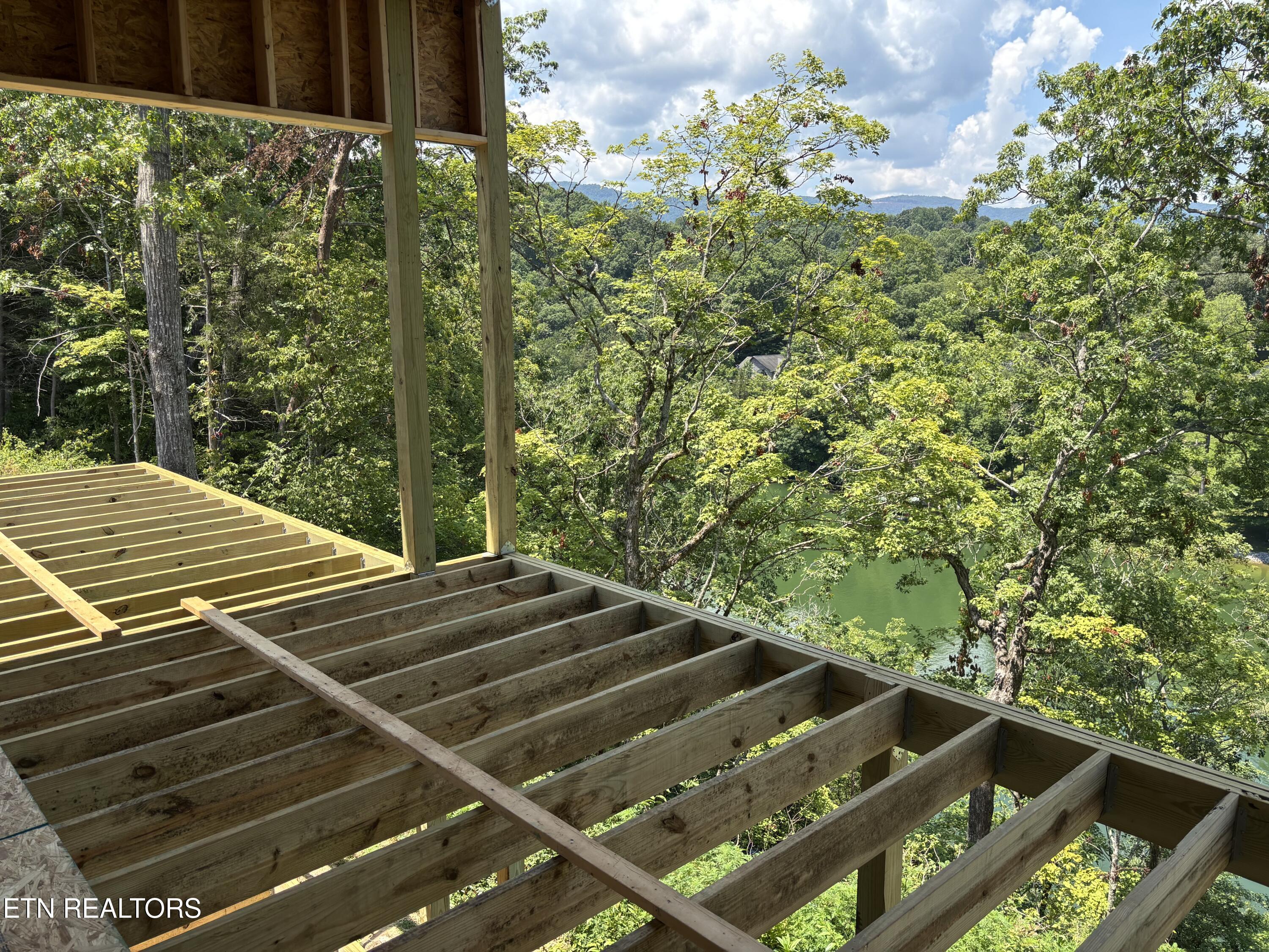 300 Bluff Trace, Jacksboro, TN - Norris Lake Real Estate - Image# 30