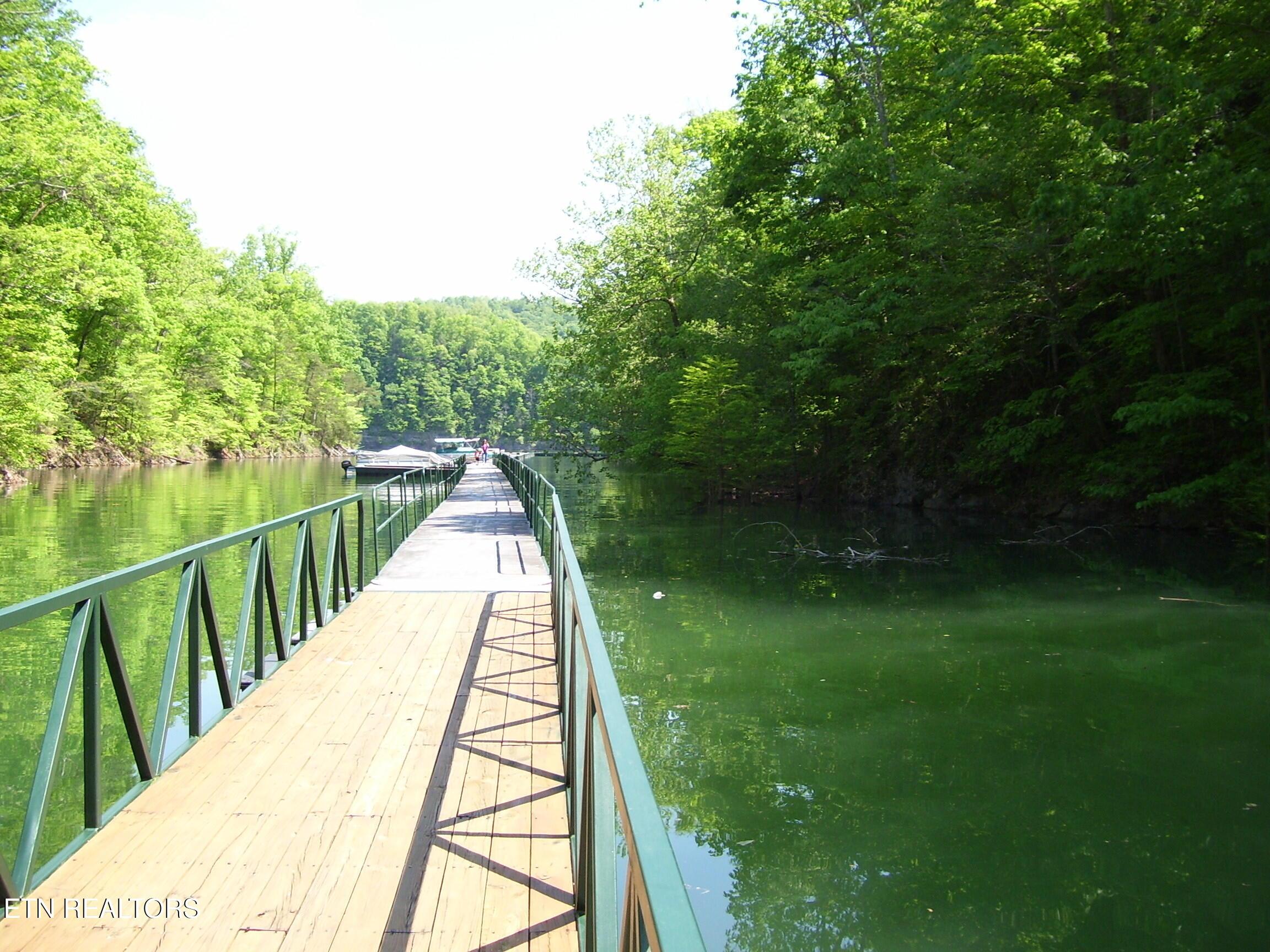 lot 609 Chimney Rock Rd, New Tazewell, TN - Norris Lake Real Estate - Image# 12