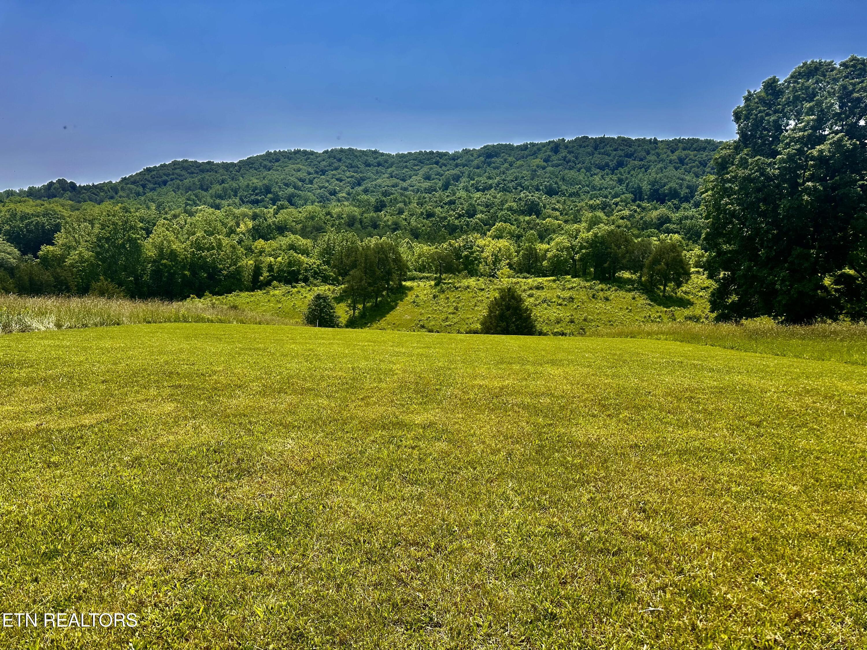 Waterfront Knoll, Sharps Chapel, TN - Norris Lake Real Estate - Image# 5