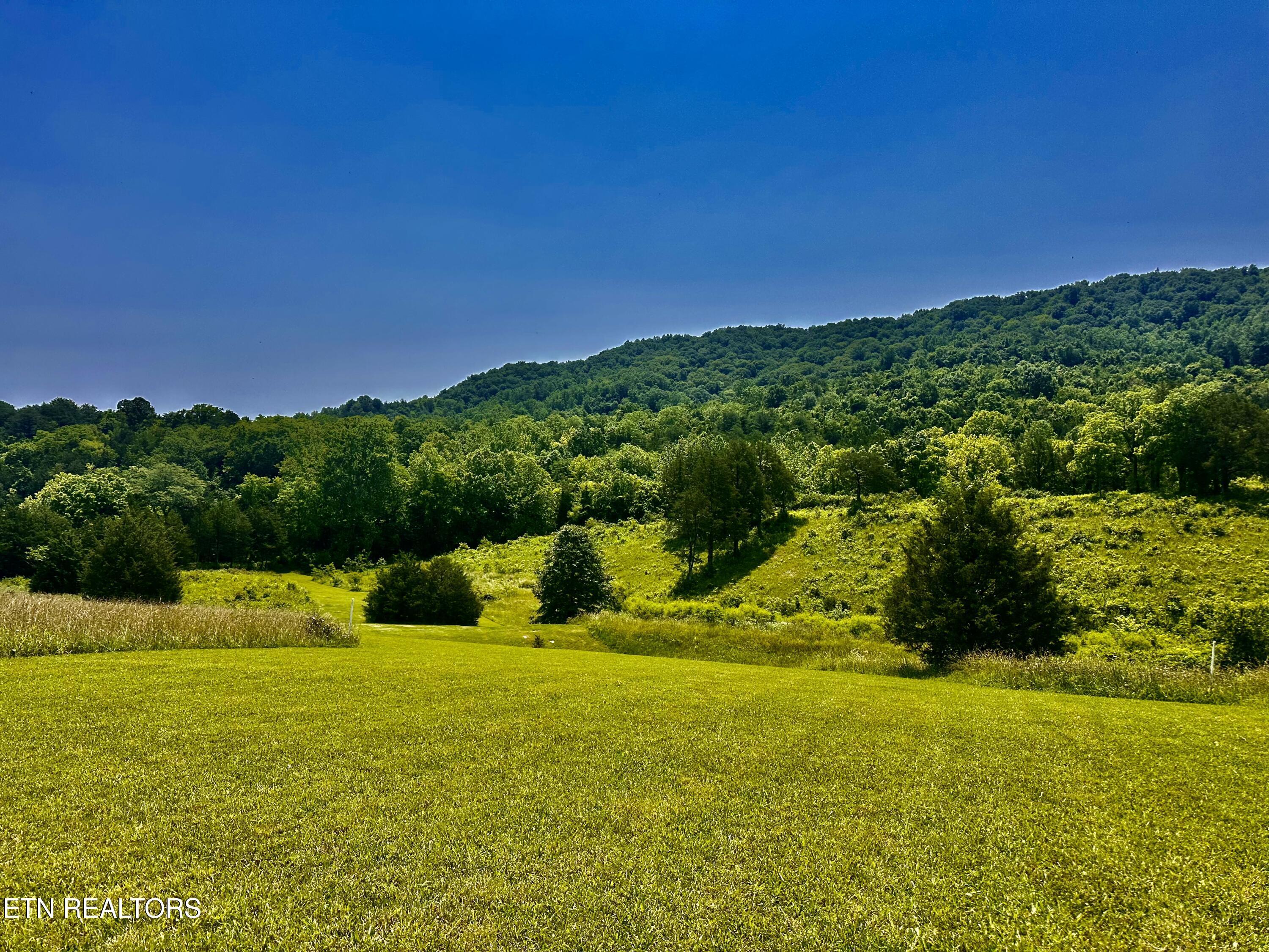 Waterfront Knoll, Sharps Chapel, TN - Norris Lake Real Estate - Image# 7