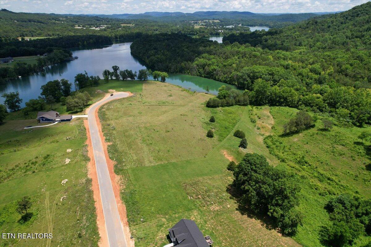 Norris Lake Real Estate - Image# 18