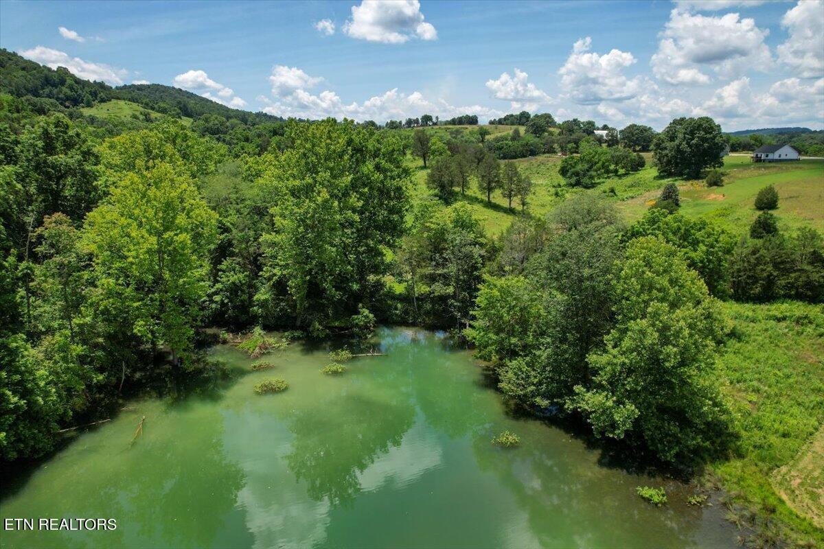 Norris Lake Real Estate - Image# 20