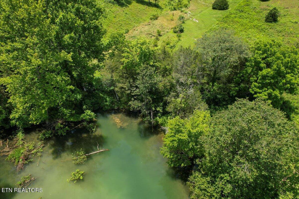 Norris Lake Real Estate - Image# 21