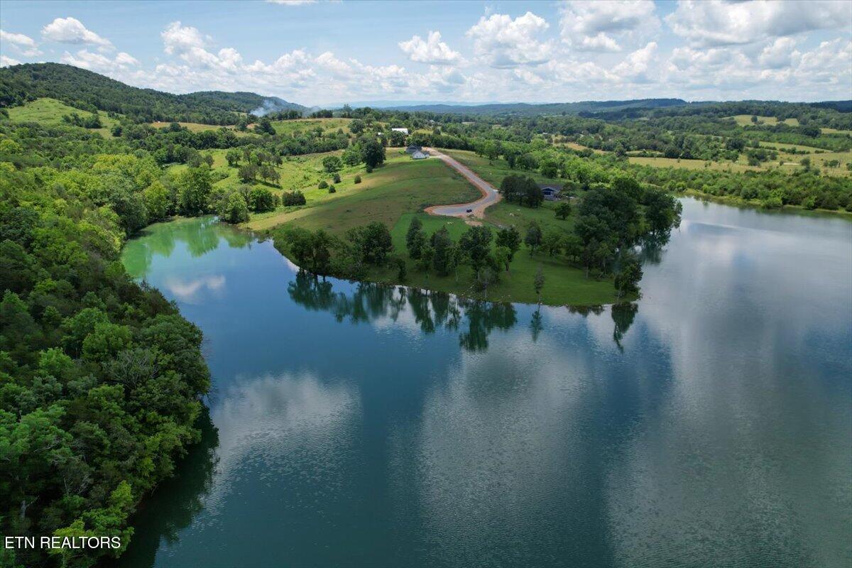 Norris Lake Real Estate - Image# 4