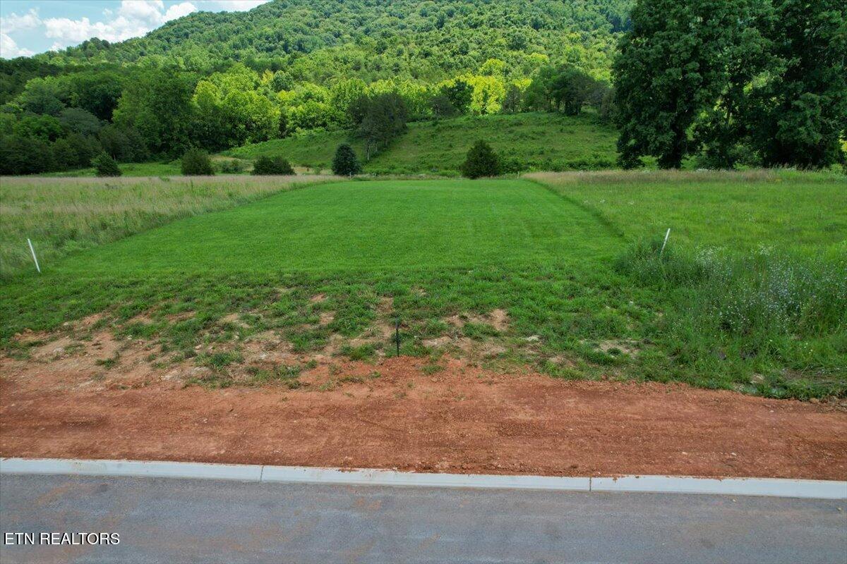 Norris Lake Real Estate - Image# 6