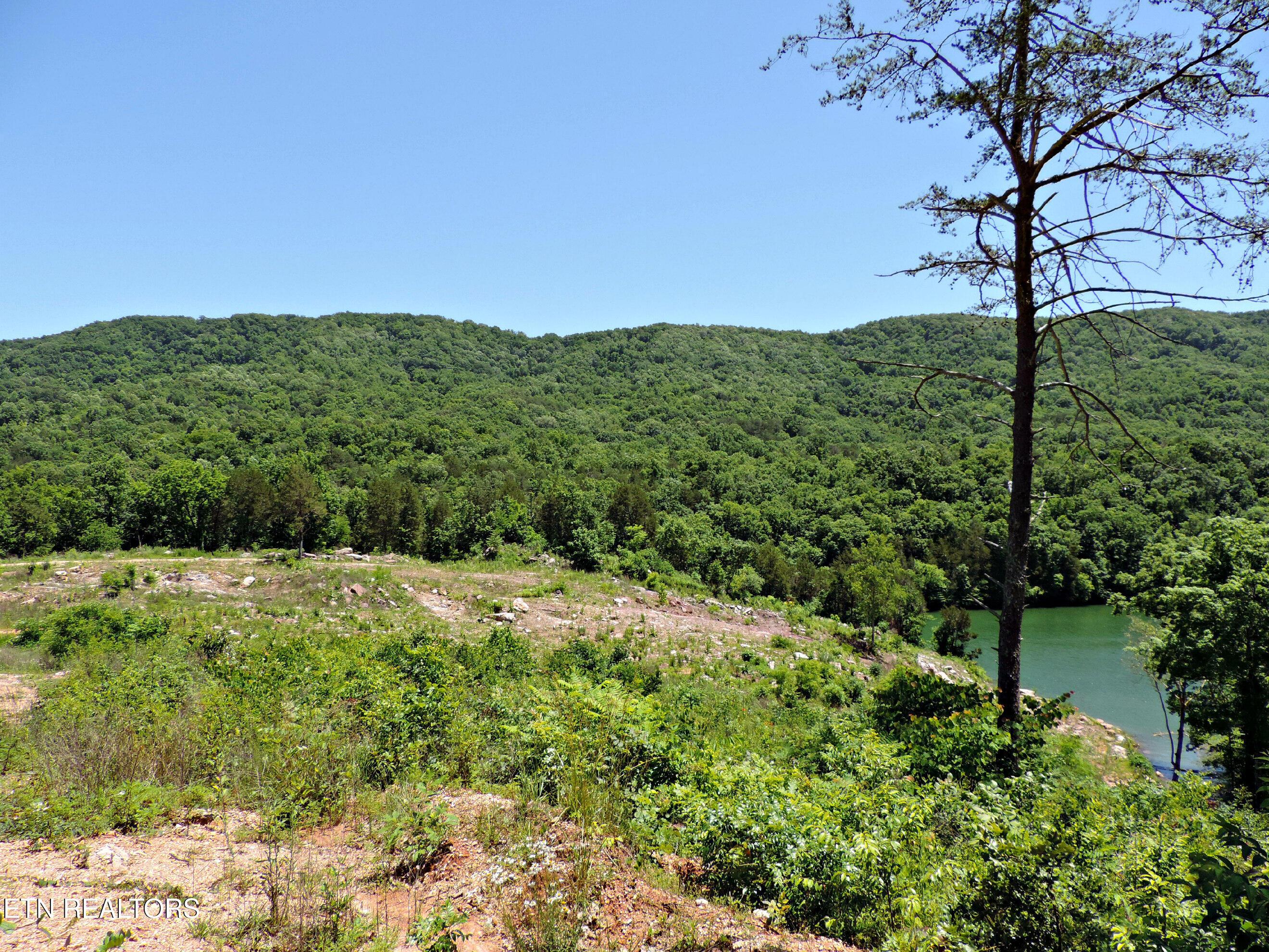 Bear Creek Road, Tazewell, TN - Norris Lake Real Estate - Image# 11