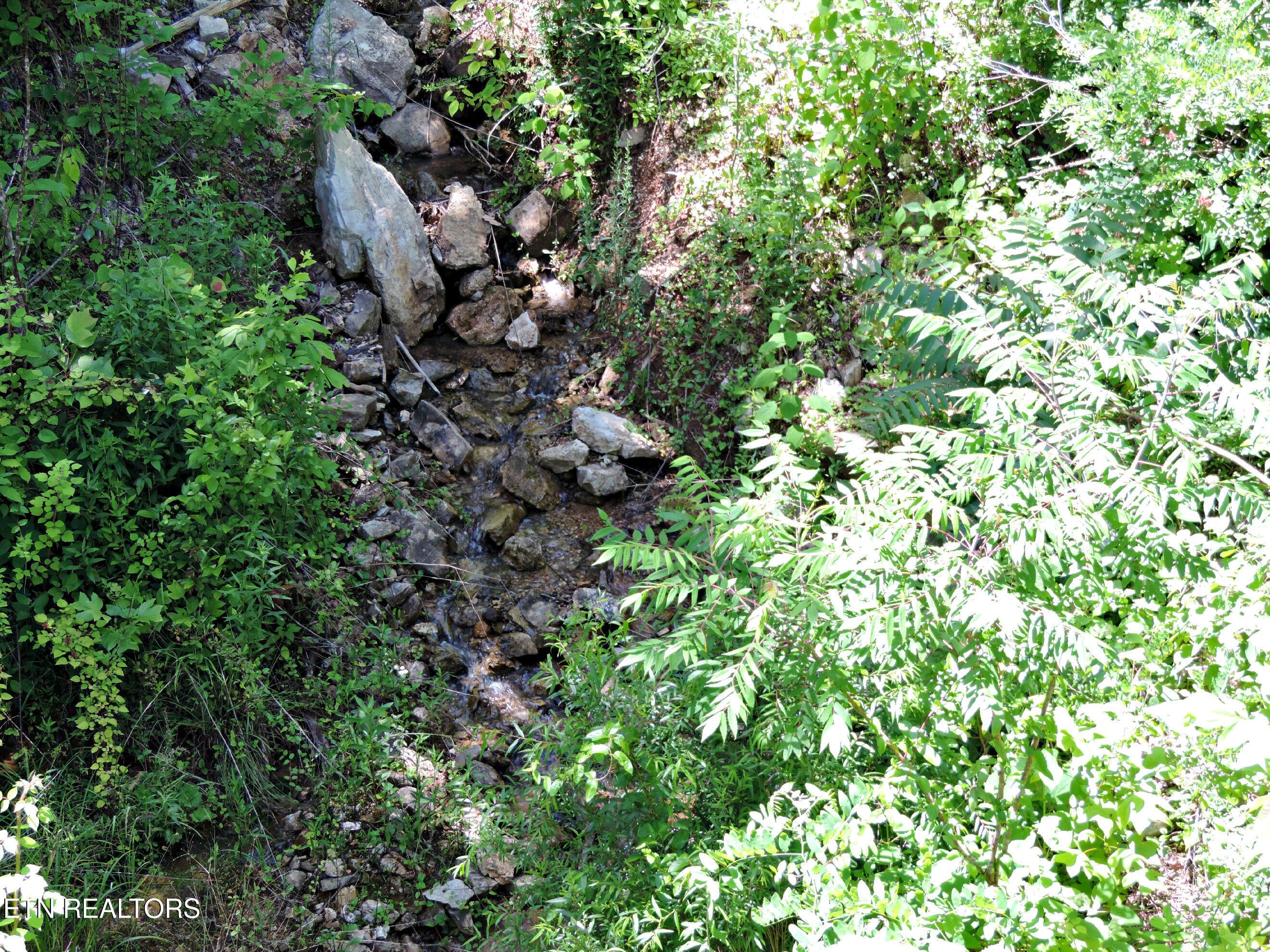 Bear Creek Road, Tazewell, TN - Norris Lake Real Estate - Image# 12
