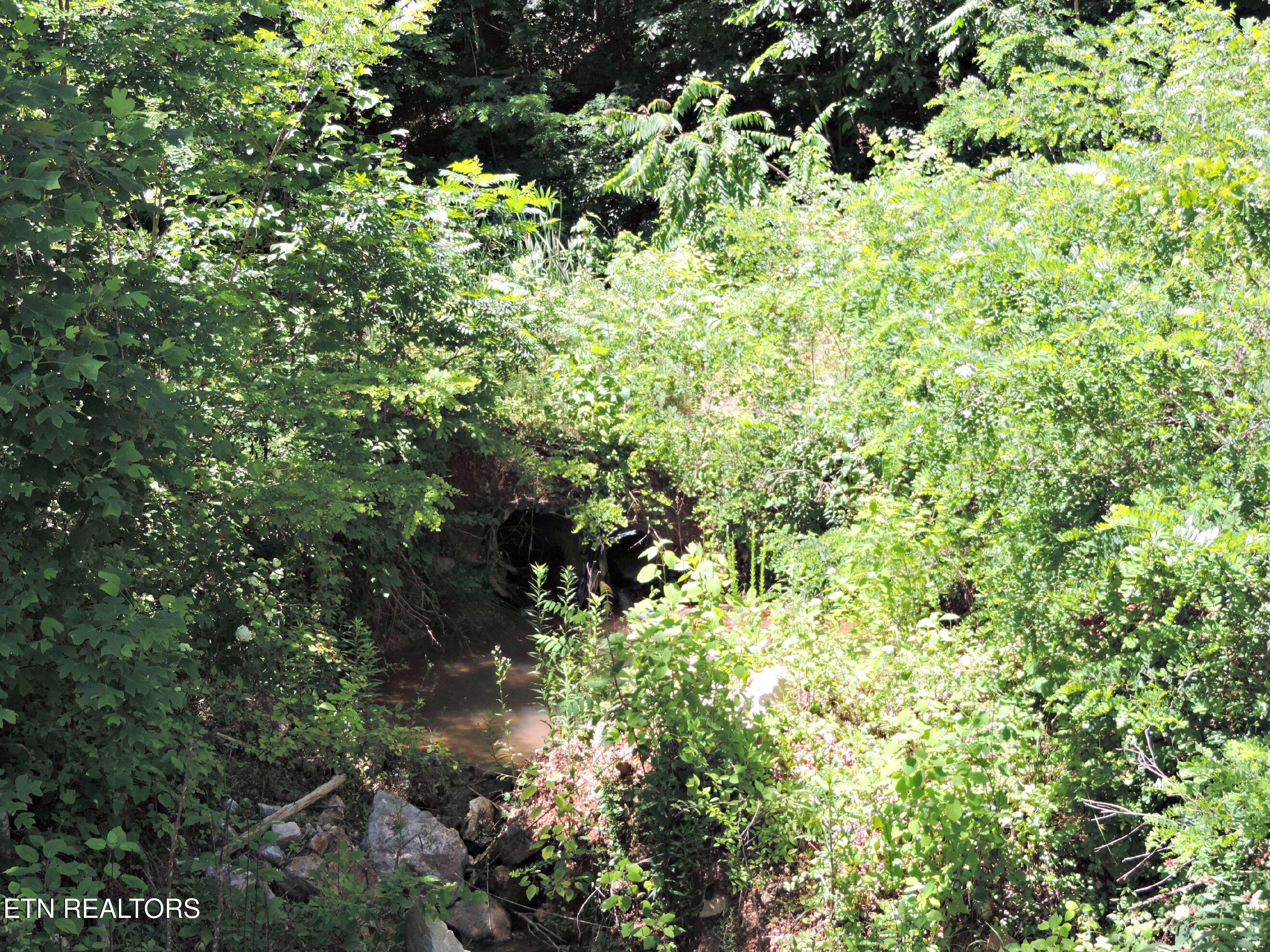 Bear Creek Road, Tazewell, TN - Norris Lake Real Estate - Image# 13