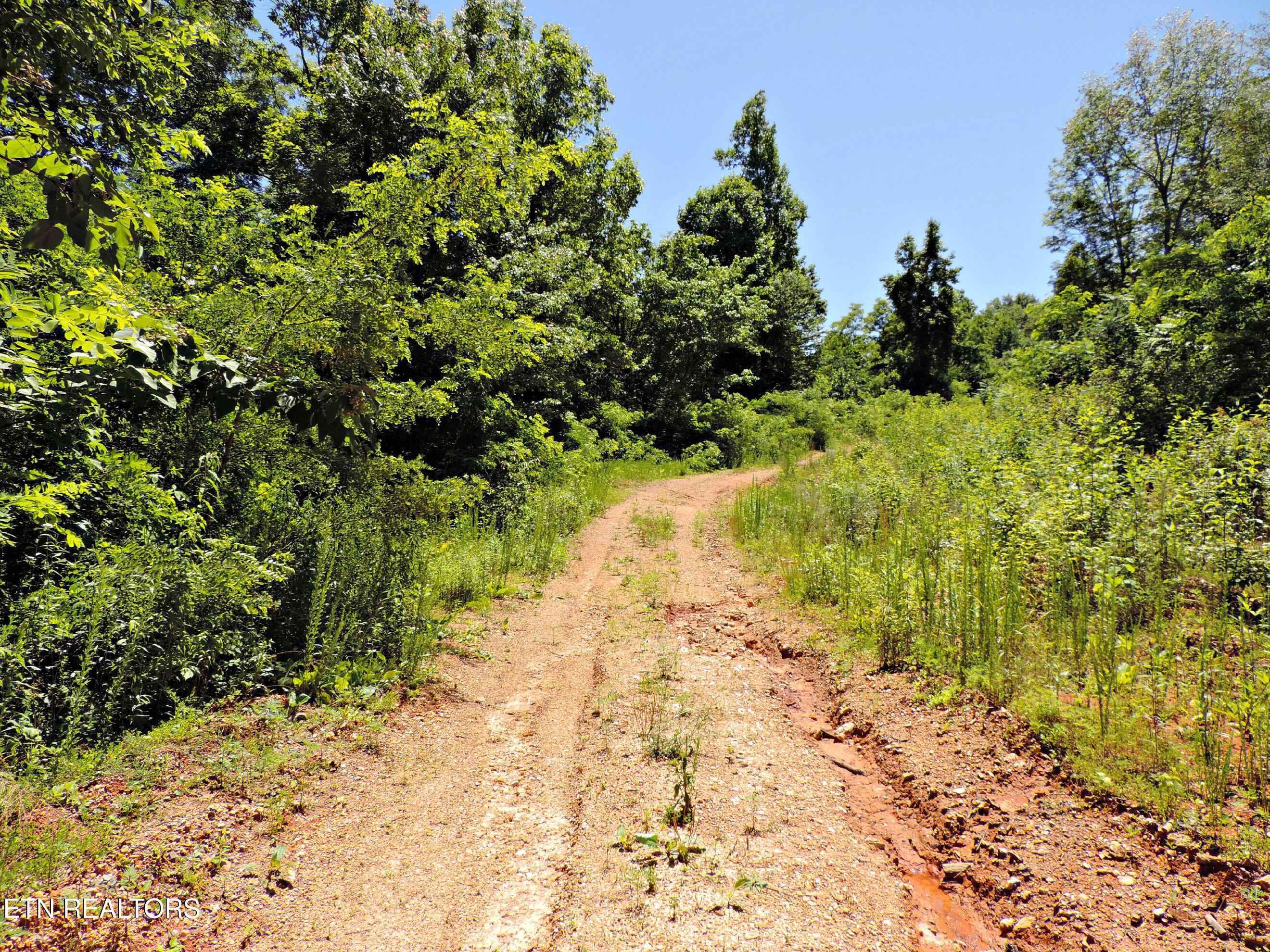Bear Creek Road, Tazewell, TN - Norris Lake Real Estate - Image# 14