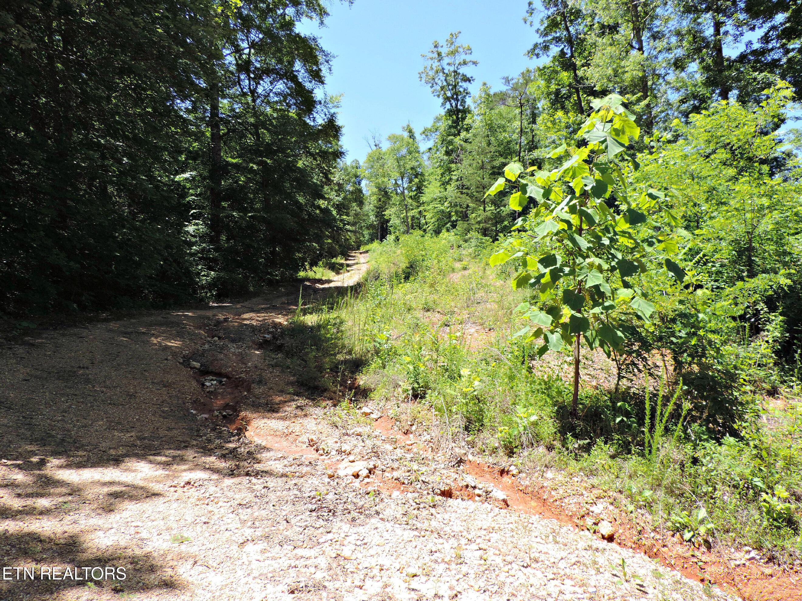 Bear Creek Road, Tazewell, TN - Norris Lake Real Estate - Image# 15