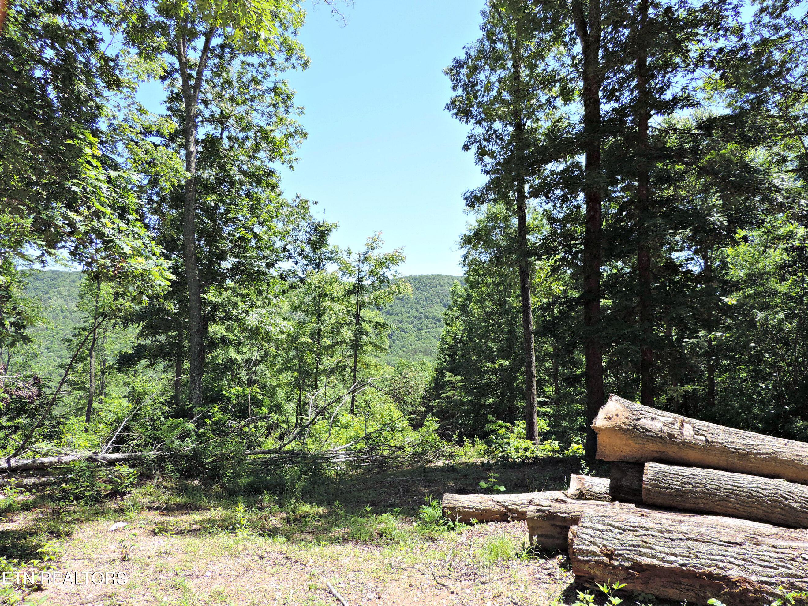 Bear Creek Road, Tazewell, TN - Norris Lake Real Estate - Image# 16