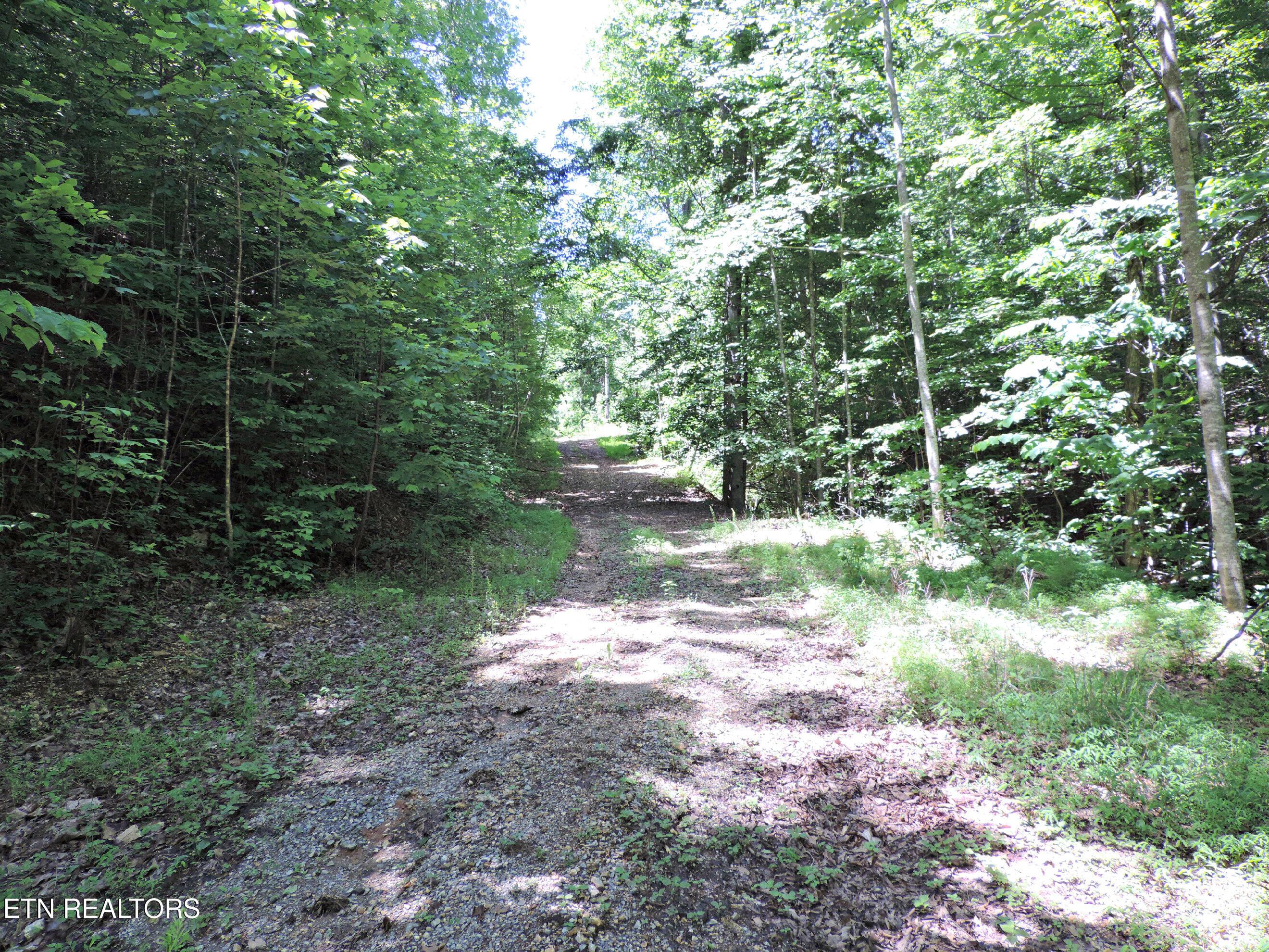 Bear Creek Road, Tazewell, TN - Norris Lake Real Estate - Image# 19
