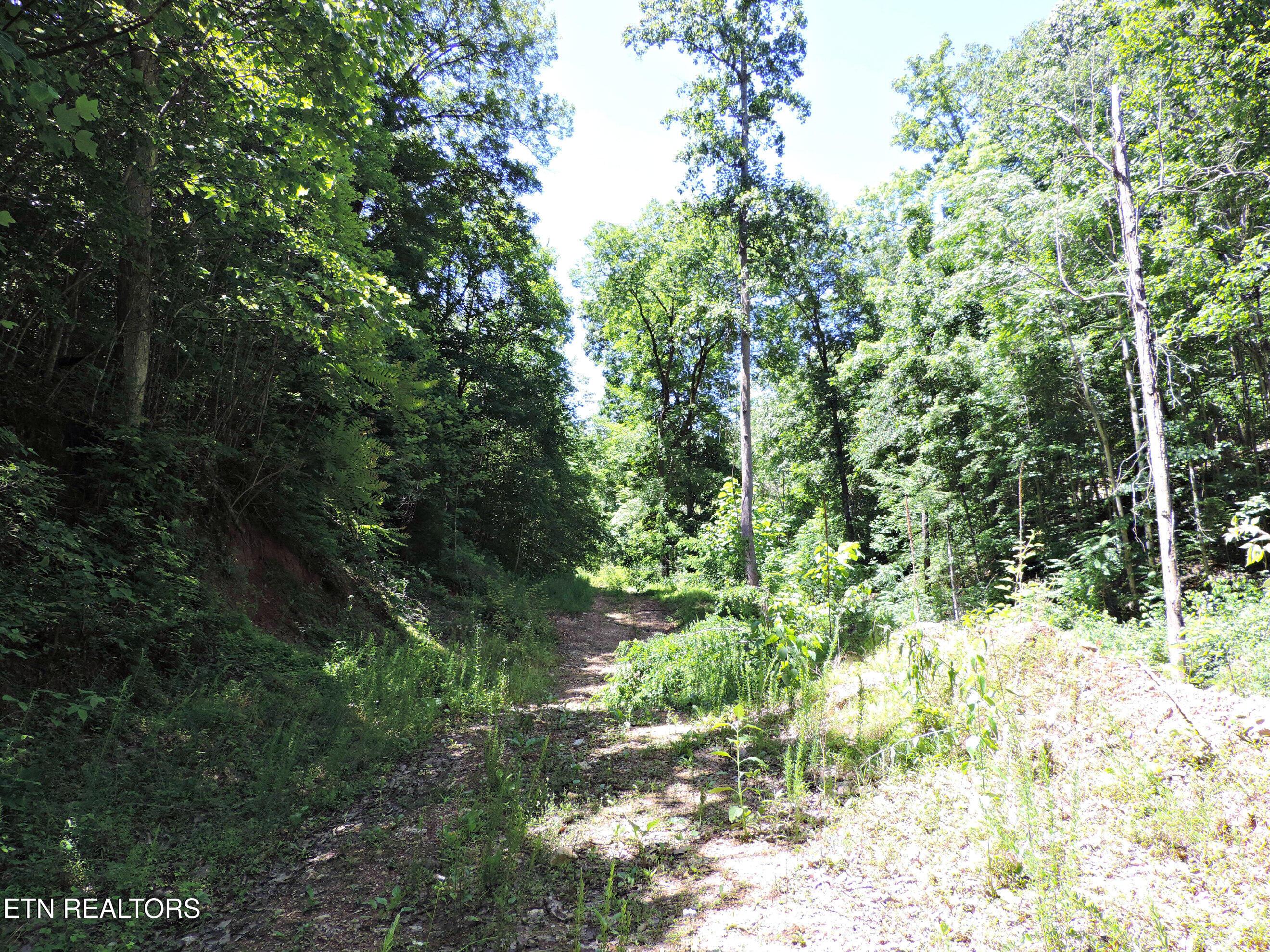 Bear Creek Road, Tazewell, TN - Norris Lake Real Estate - Image# 20