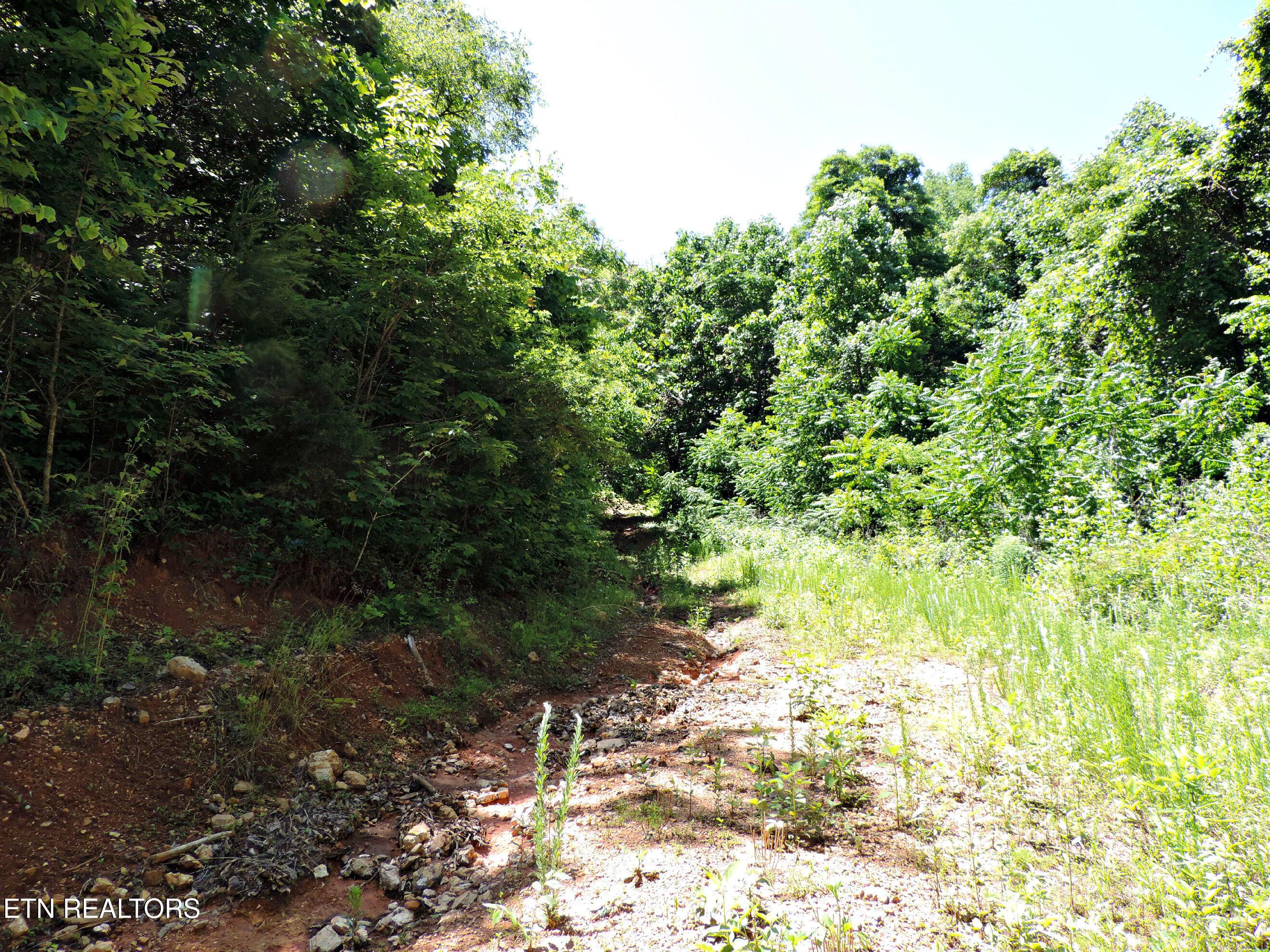 Bear Creek Road, Tazewell, TN - Norris Lake Real Estate - Image# 28