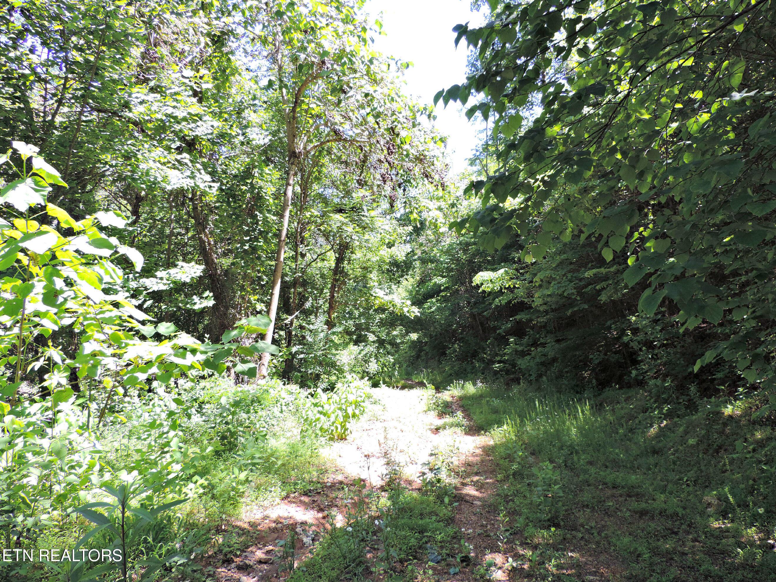 Bear Creek Road, Tazewell, TN - Norris Lake Real Estate - Image# 29