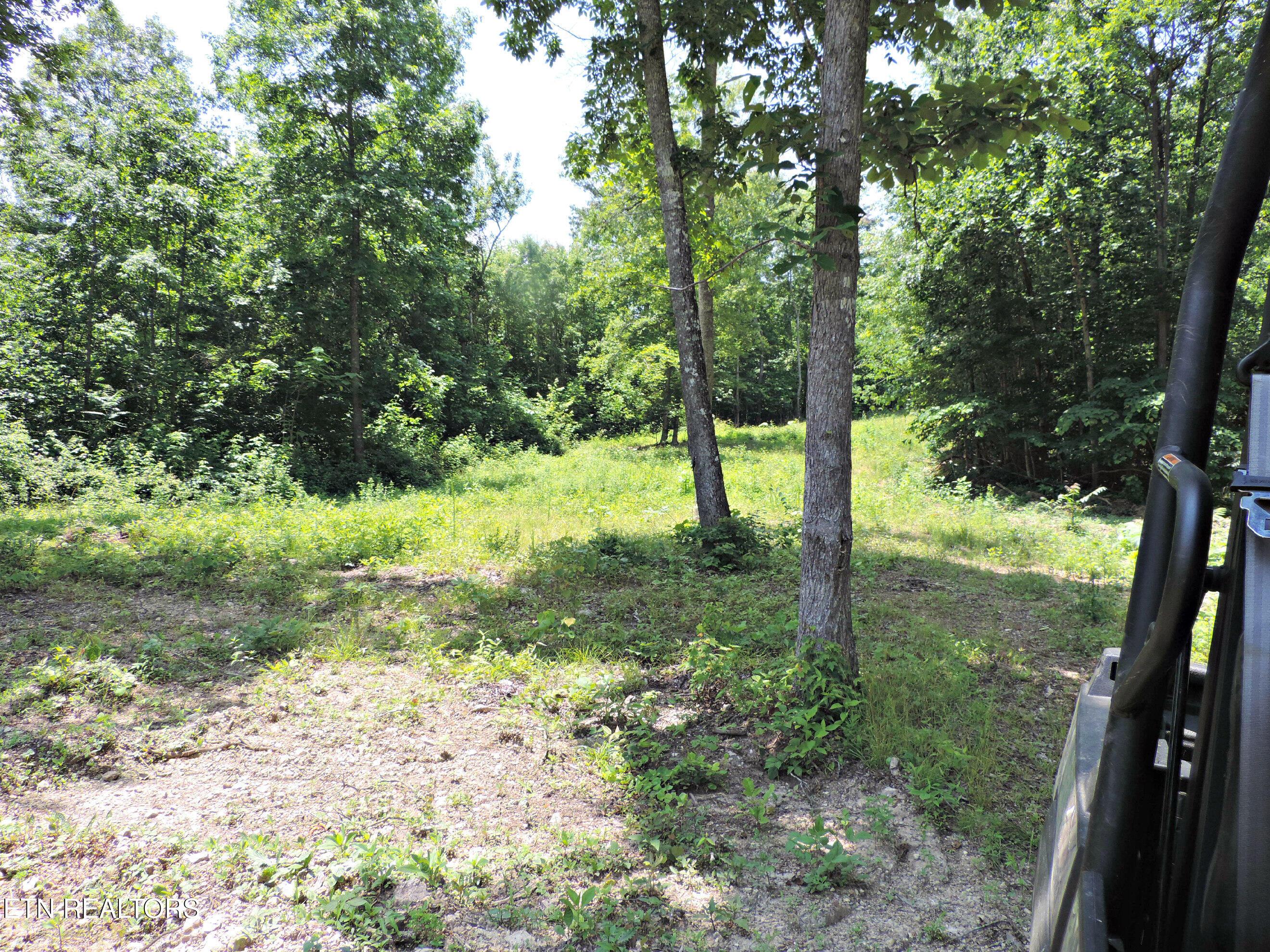 Bear Creek Road, Tazewell, TN - Norris Lake Real Estate - Image# 35