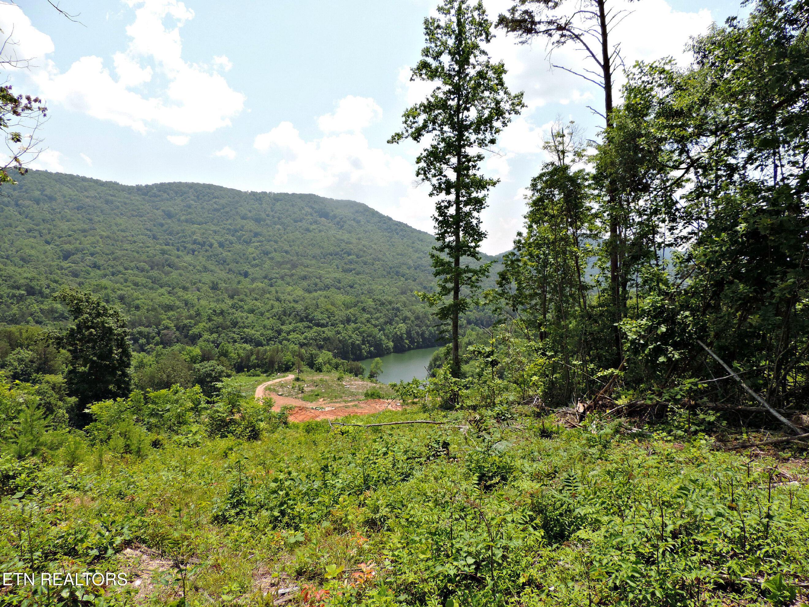 Bear Creek Road, Tazewell, TN - Norris Lake Real Estate - Image# 36