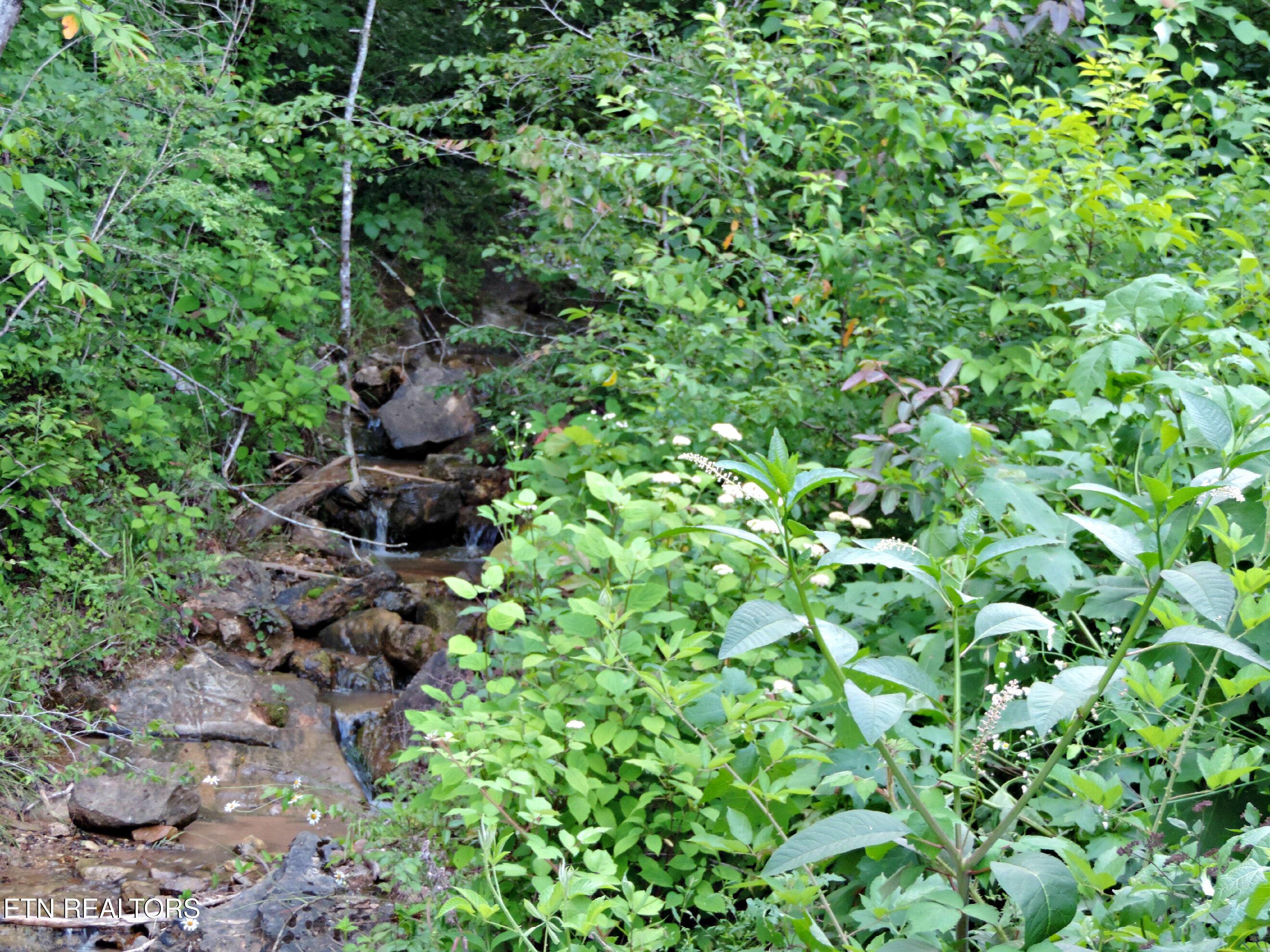 Bear Creek Road, Tazewell, TN - Norris Lake Real Estate - Image# 45