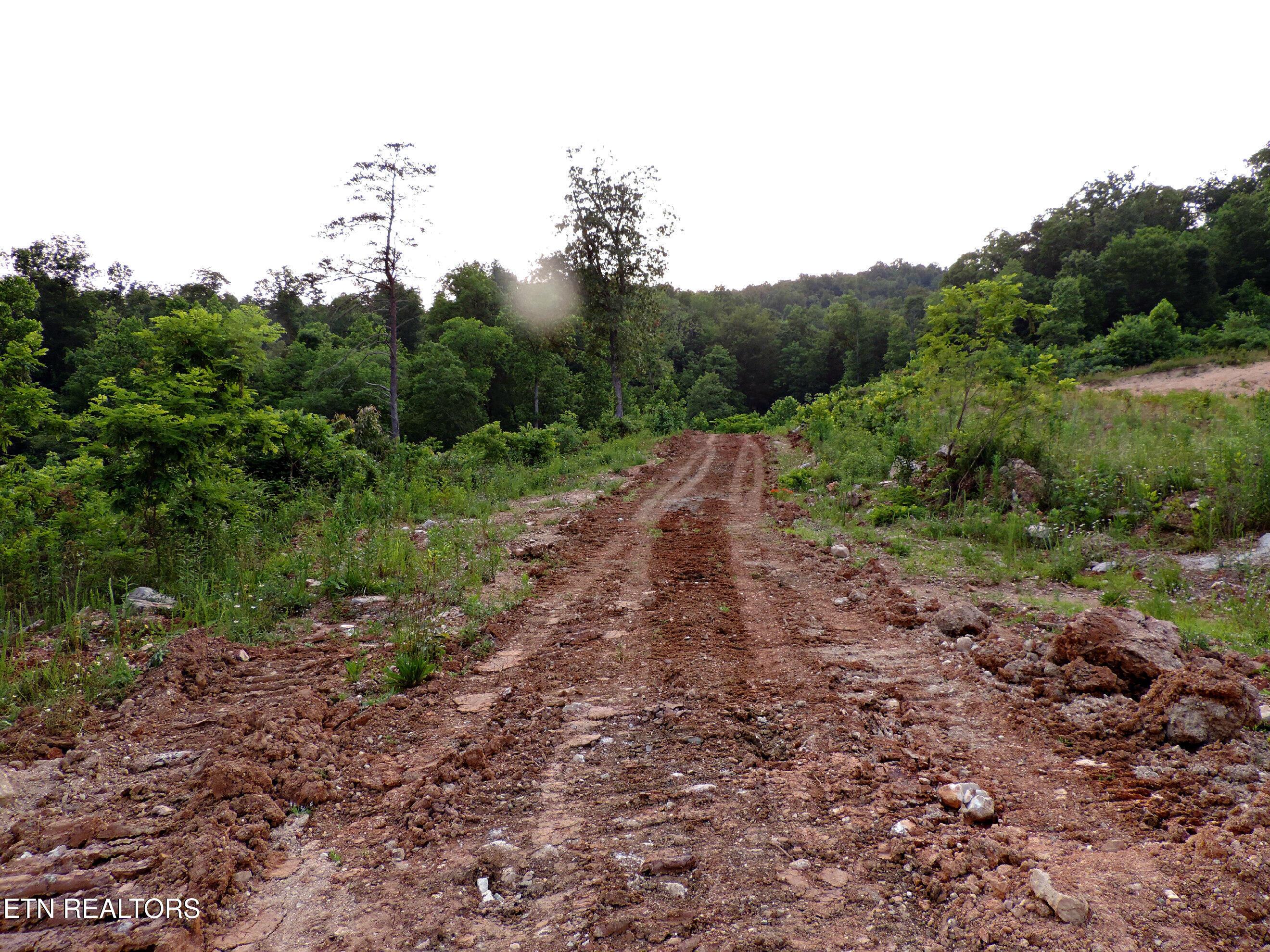 Bear Creek Road, Tazewell, TN - Norris Lake Real Estate - Image# 50