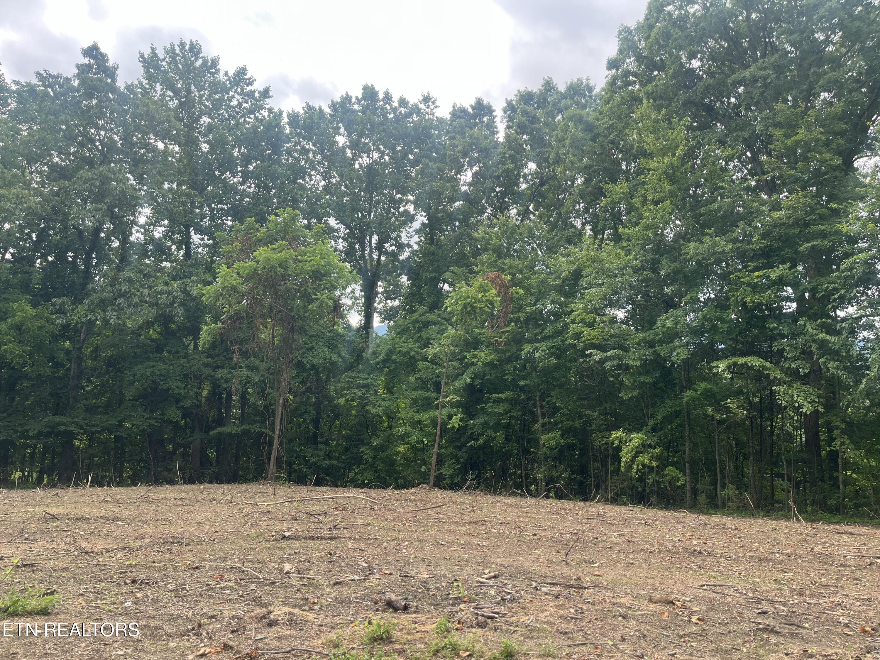TBD Barker Rd, New Tazewell, TN - Norris Lake Real Estate - Image# 5