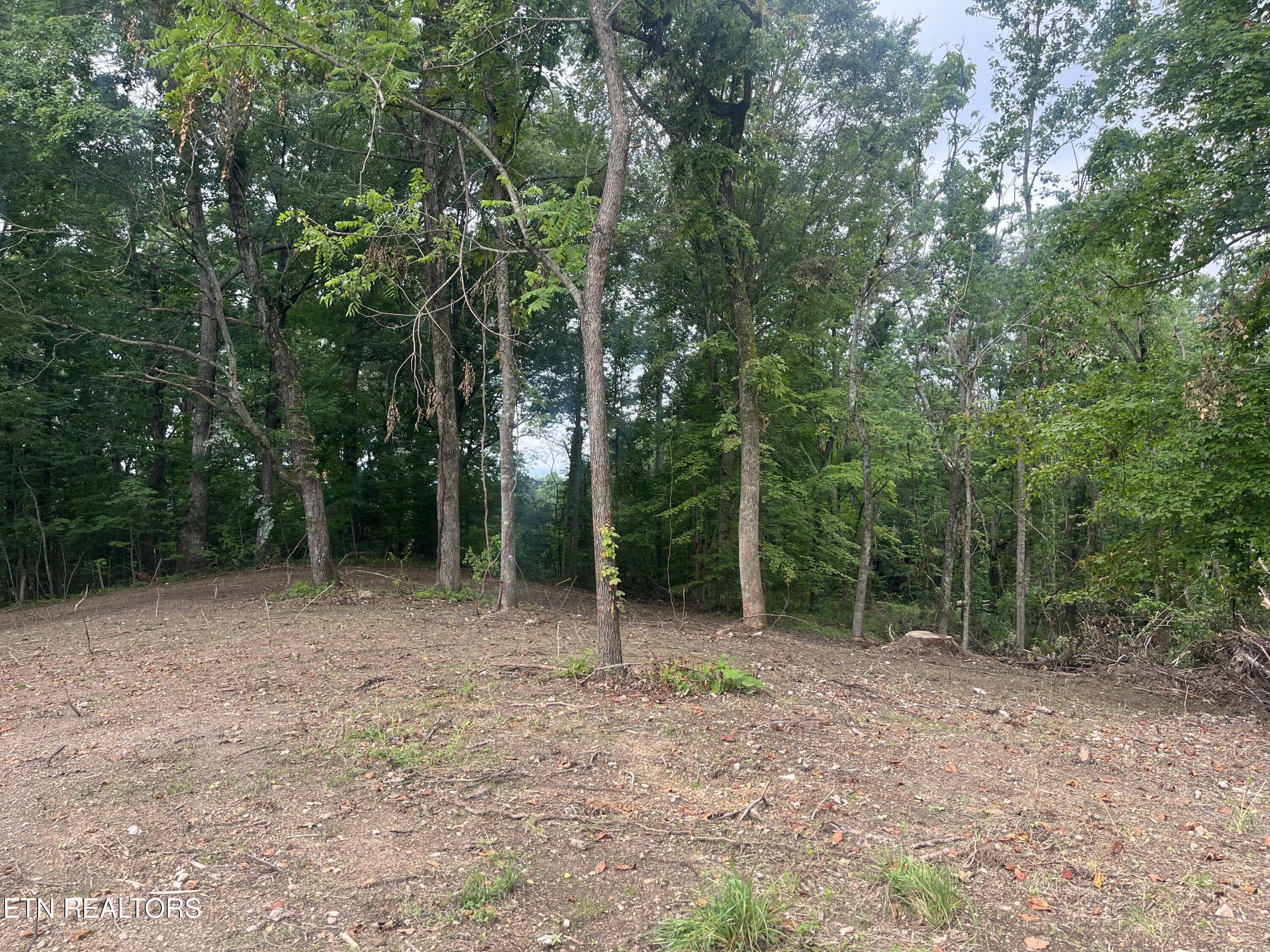 TBD Barker Rd, New Tazewell, TN - Norris Lake Real Estate - Image# 6