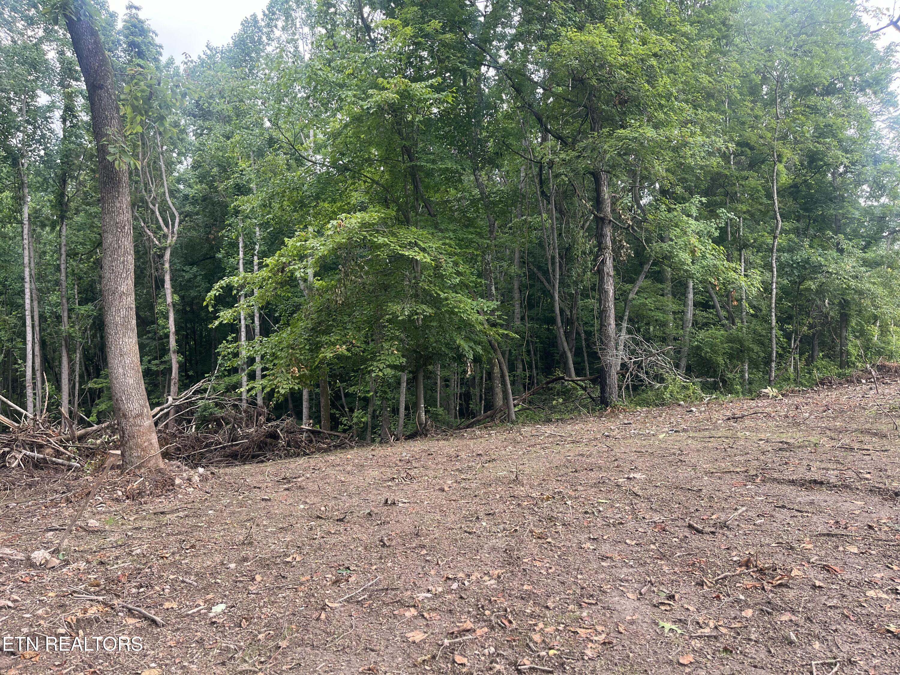 TBD Barker Rd, New Tazewell, TN - Norris Lake Real Estate - Image# 7
