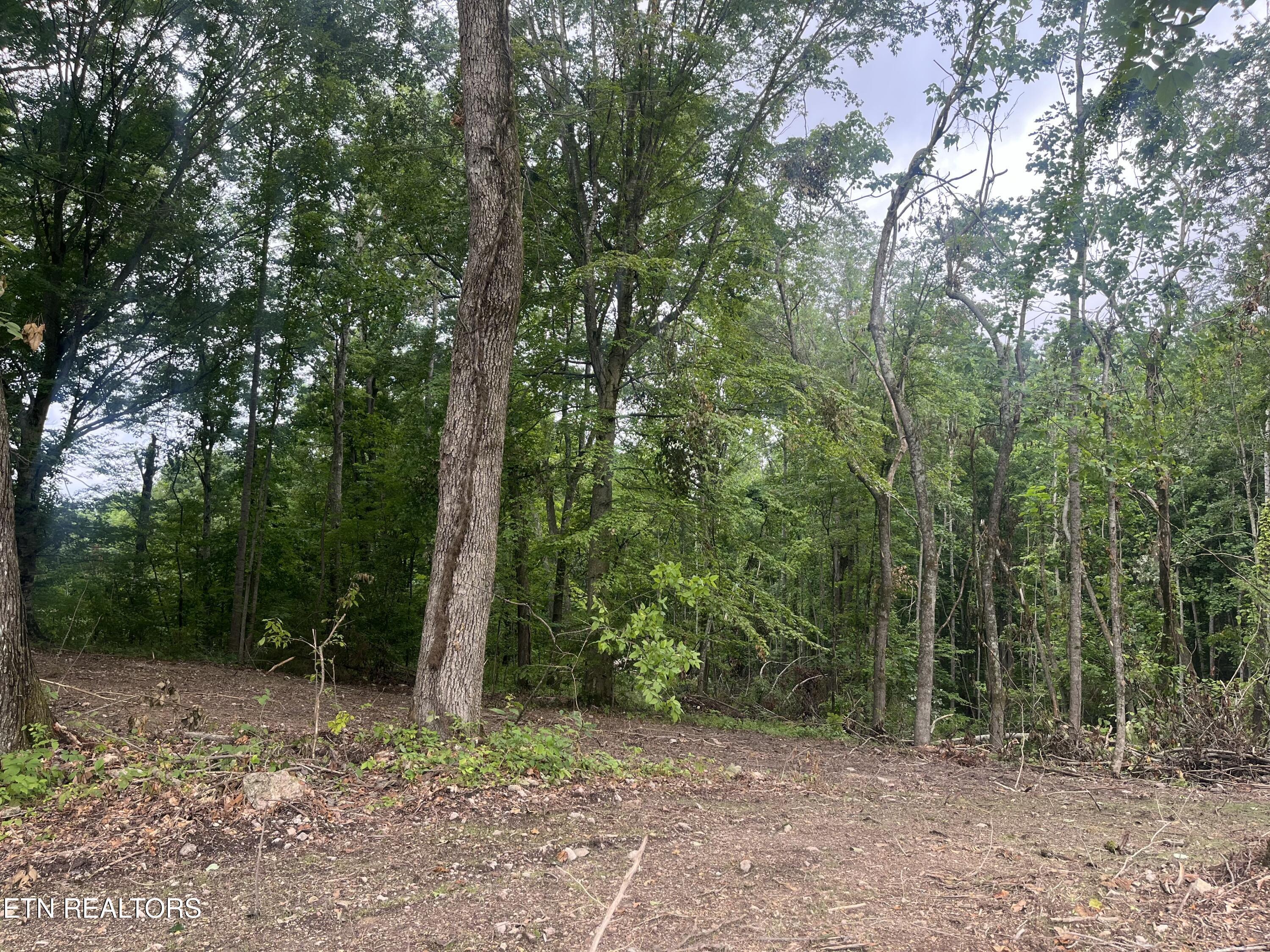 TBD Barker Rd, New Tazewell, TN - Norris Lake Real Estate - Image# 9
