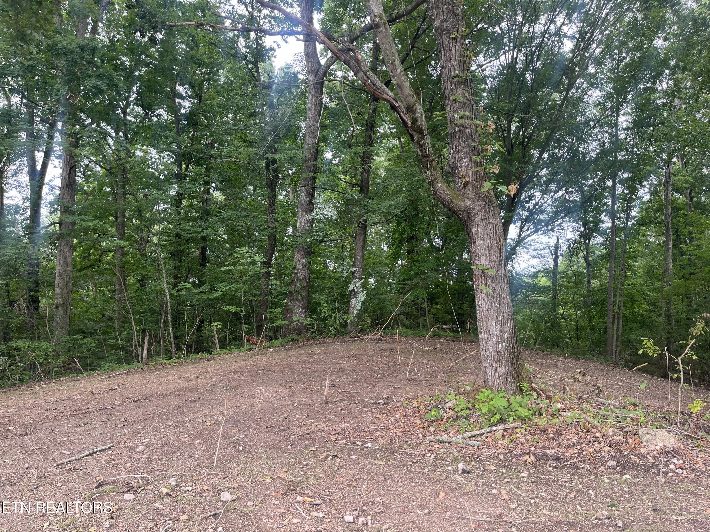 TBD Barker Rd, New Tazewell, TN - Norris Lake Real Estate - Image# 10