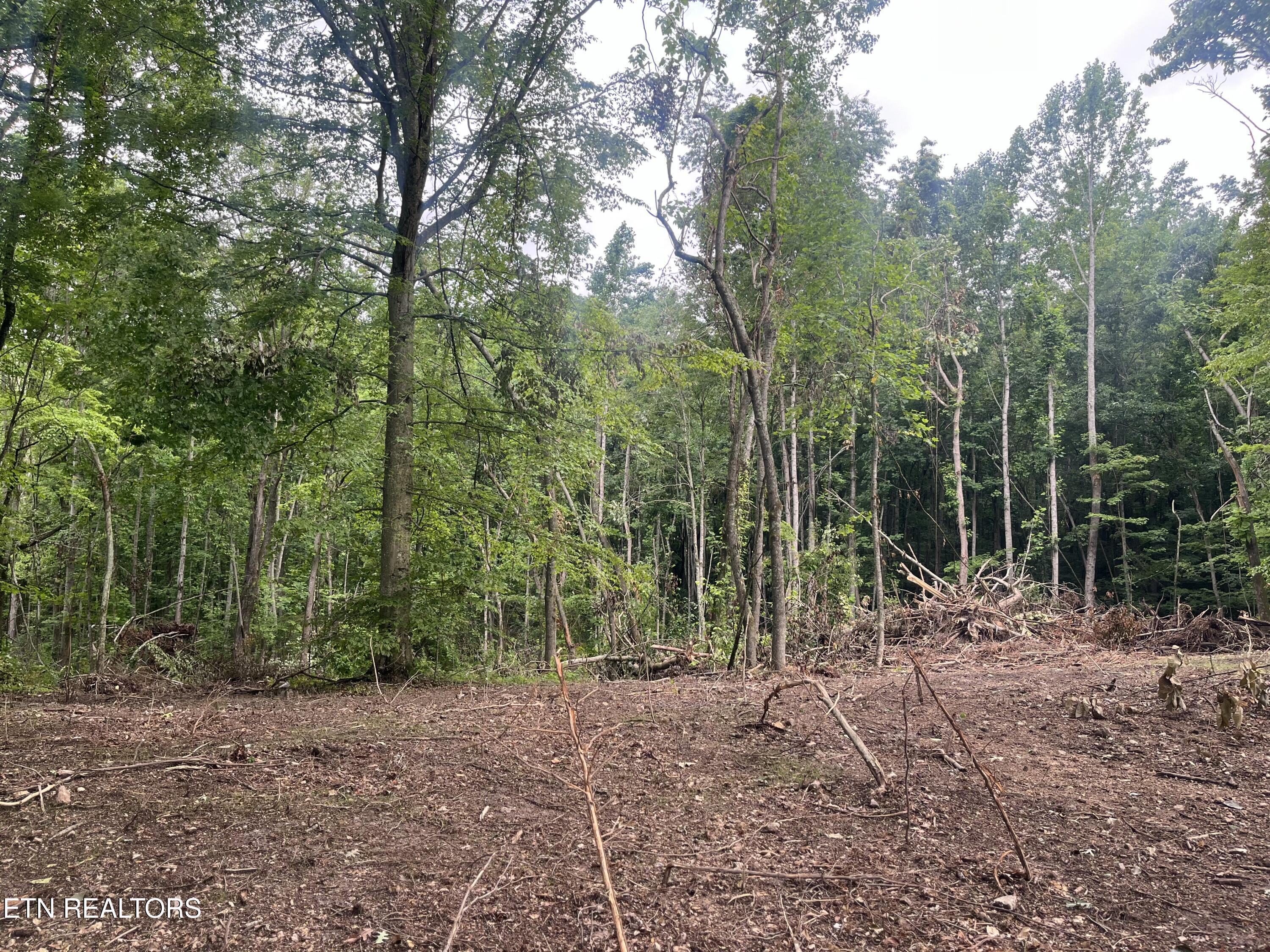 TBD Barker Rd, New Tazewell, TN - Norris Lake Real Estate - Image# 11
