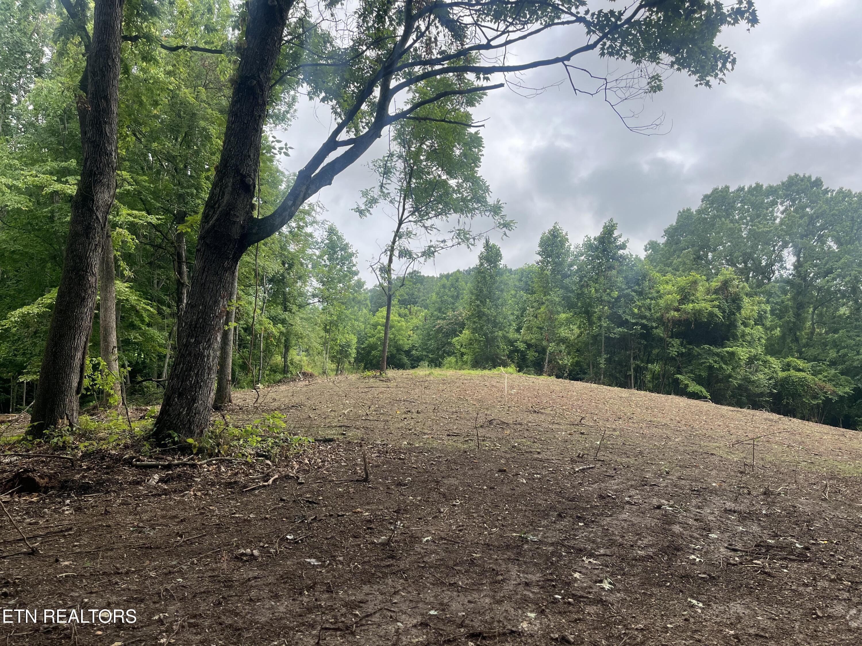 TBD Barker Rd, New Tazewell, TN - Norris Lake Real Estate - Image# 12