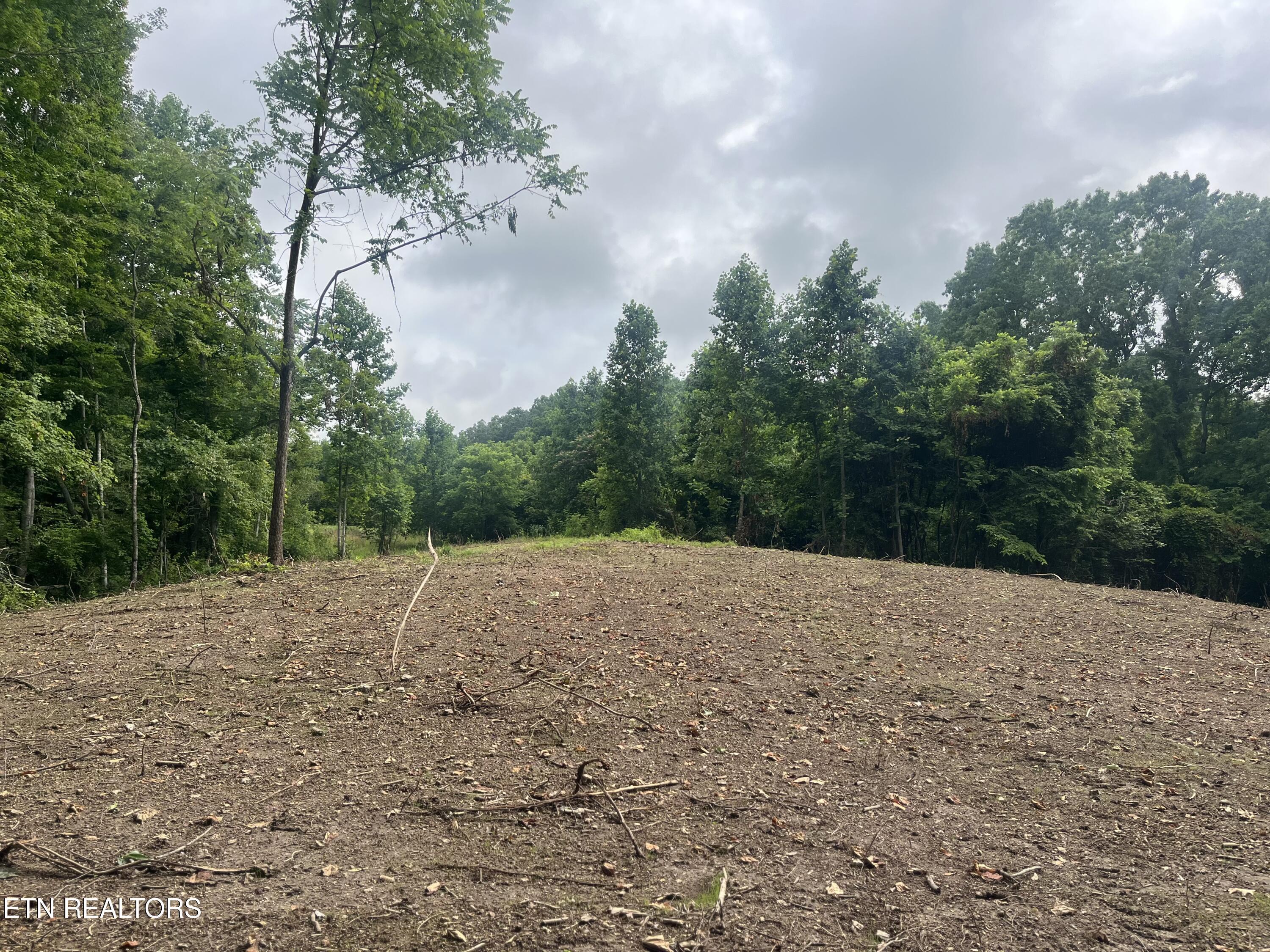 TBD Barker Rd, New Tazewell, TN - Norris Lake Real Estate - Image# 14