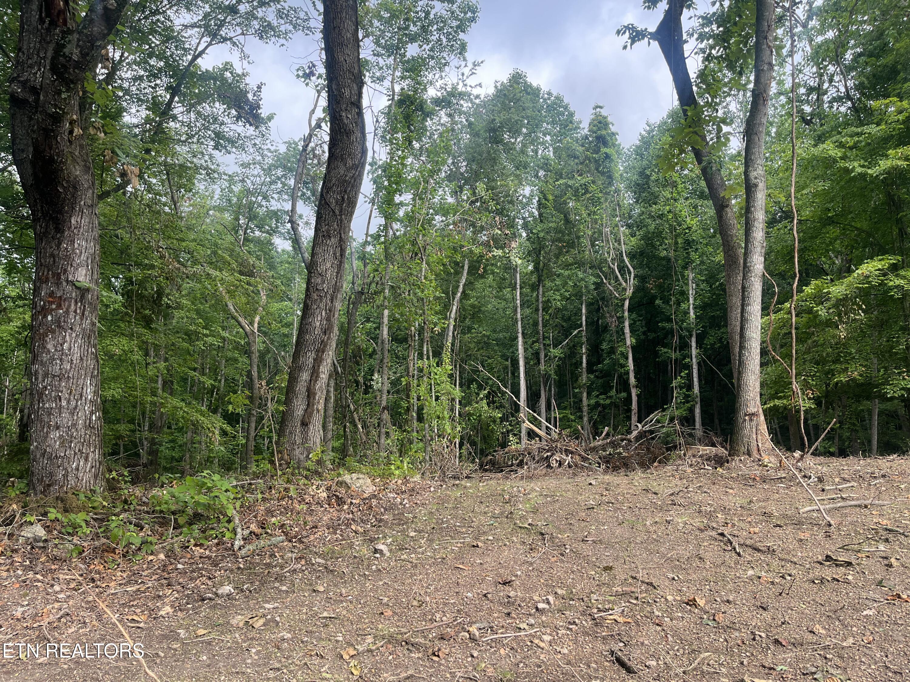 TBD Barker Rd, New Tazewell, TN - Norris Lake Real Estate - Image# 16
