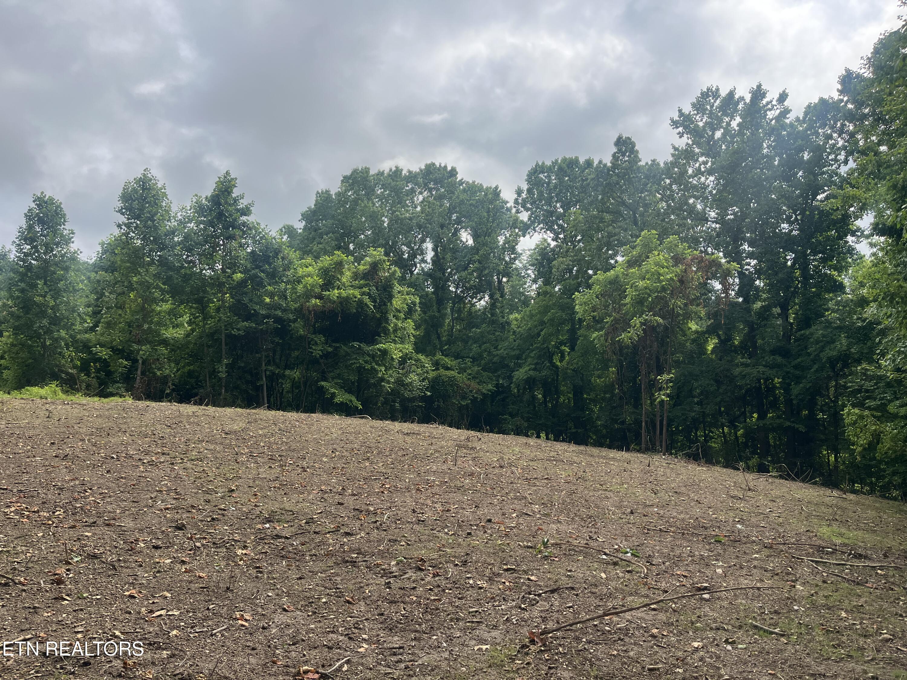 TBD Barker Rd, New Tazewell, TN - Norris Lake Real Estate - Image# 19