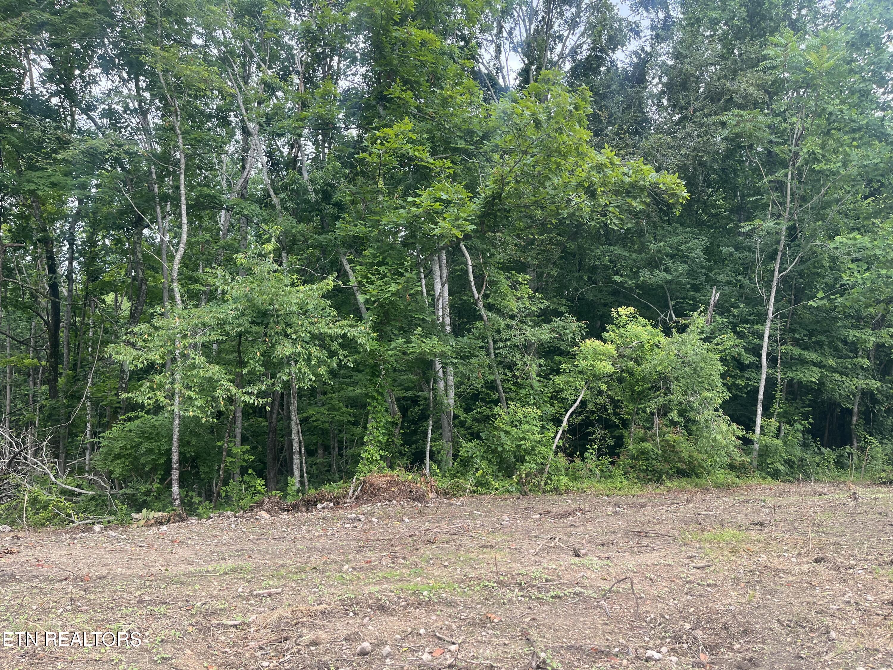 TBD Barker Rd, New Tazewell, TN - Norris Lake Real Estate - Image# 20