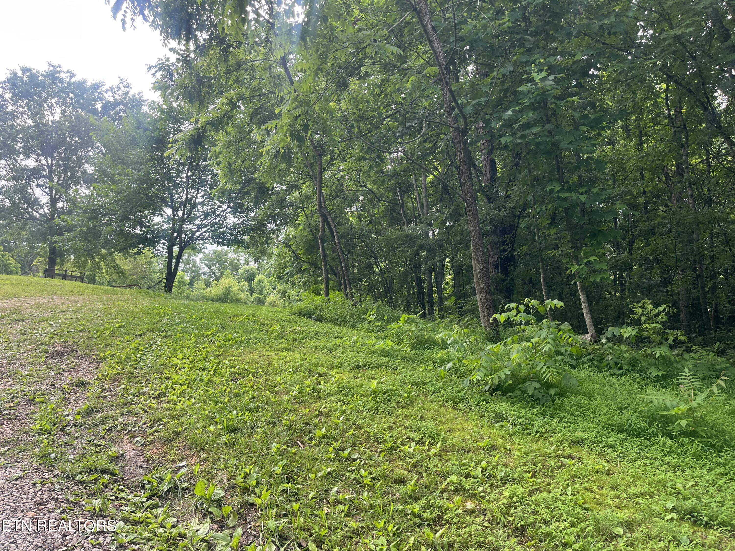 TBD Barker Rd, New Tazewell, TN - Norris Lake Real Estate - Image# 22
