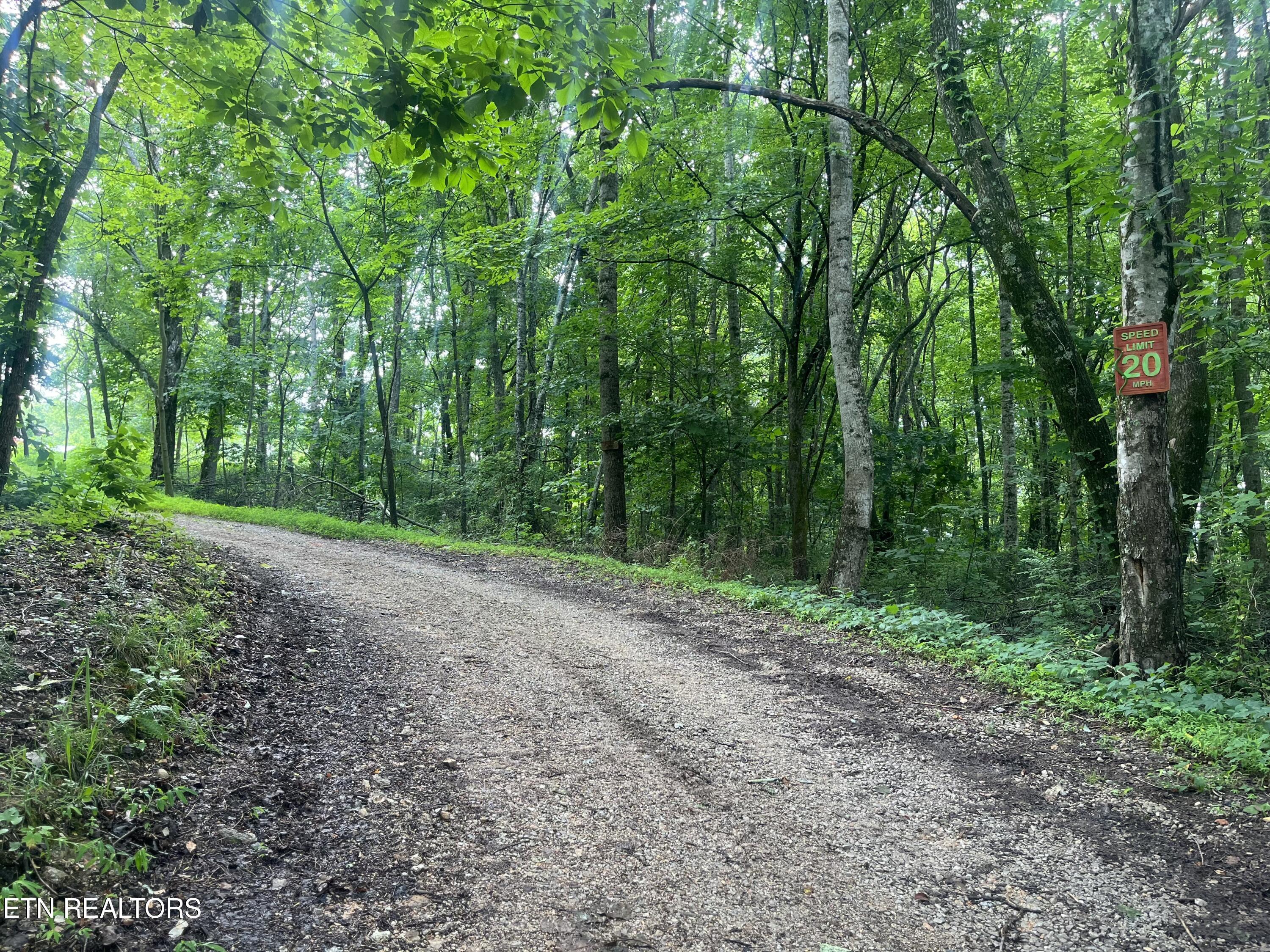 TBD Barker Rd, New Tazewell, TN - Norris Lake Real Estate - Image# 27