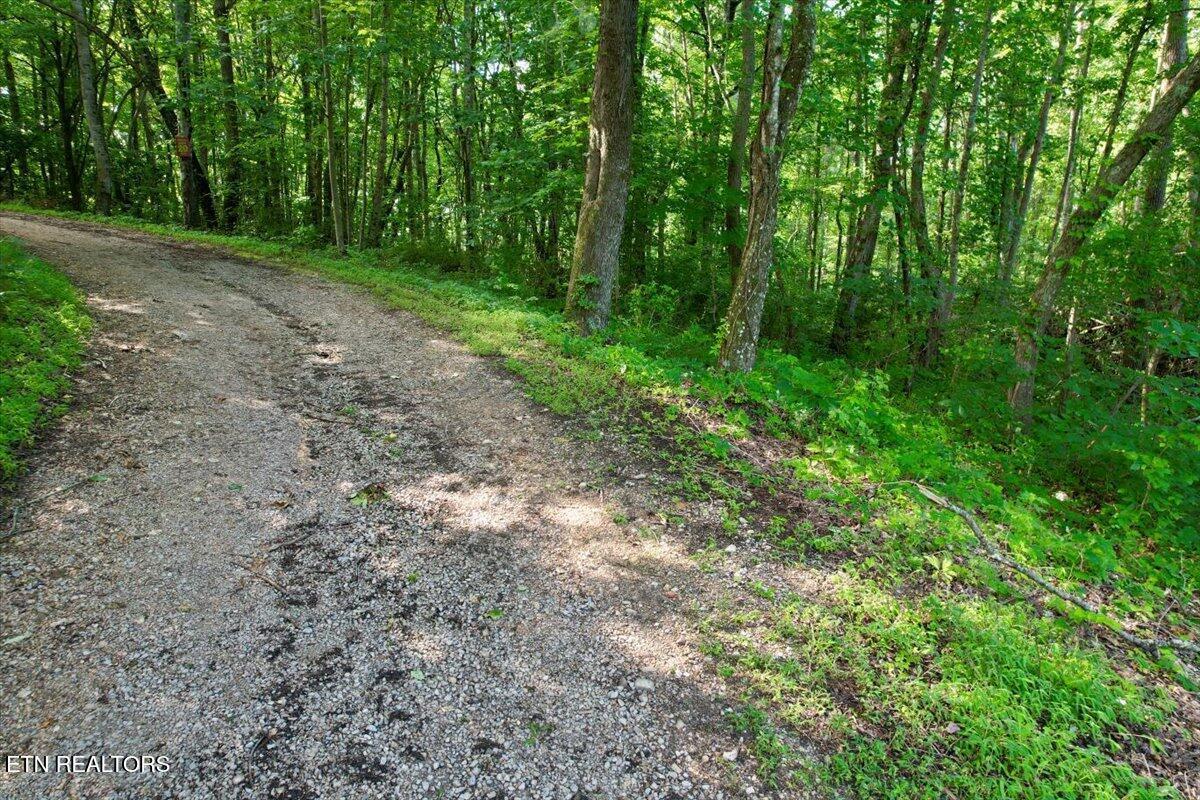 Norris Lake Real Estate - Image# 29
