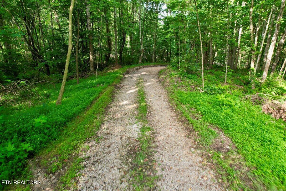 Norris Lake Real Estate - Image# 31