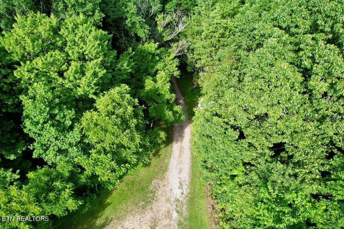 Norris Lake Real Estate - Image# 33