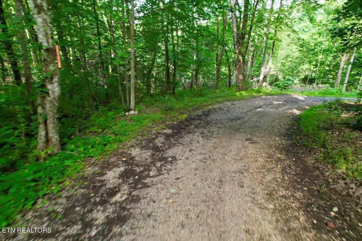 Norris Lake Real Estate - Image# 37