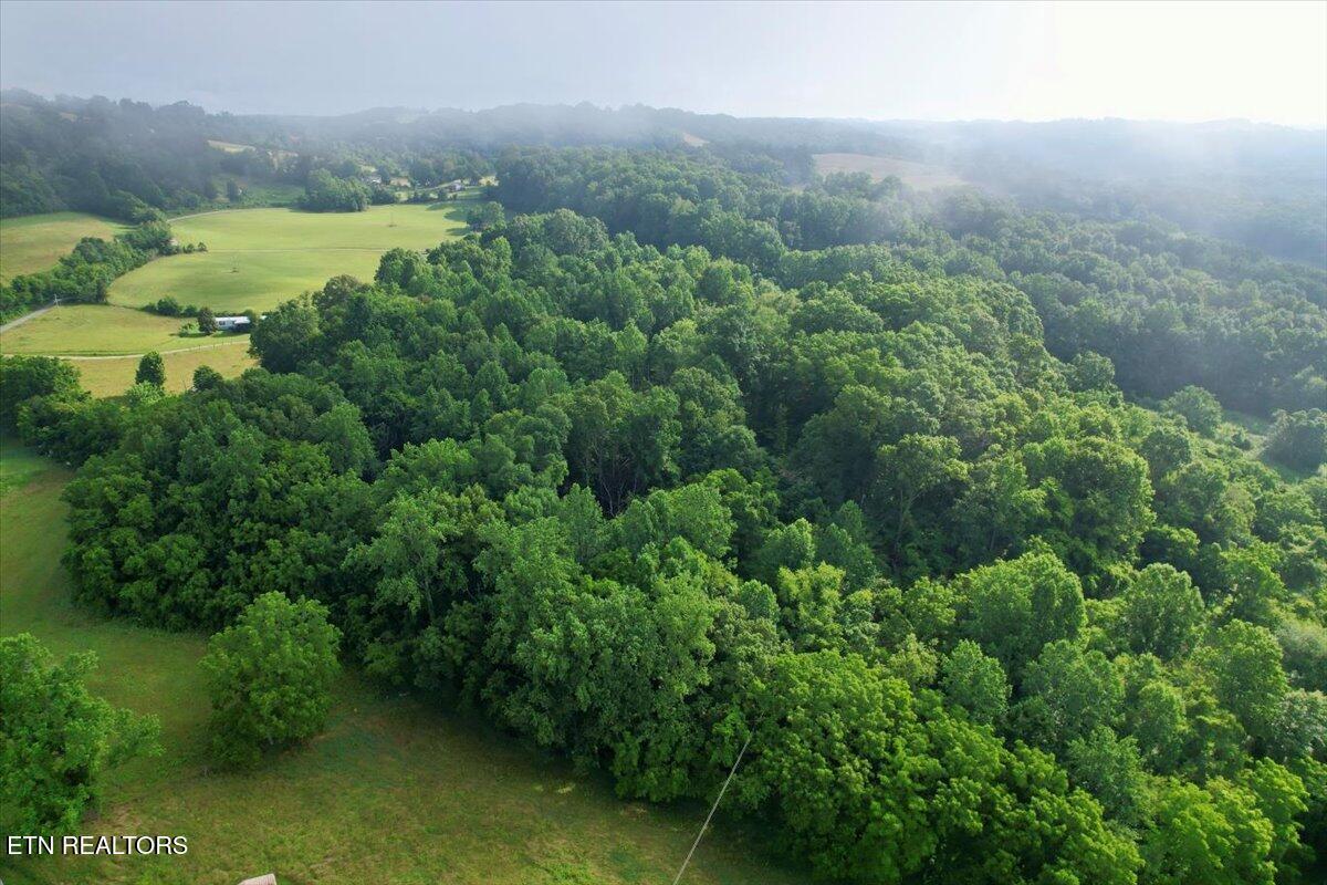 Norris Lake Real Estate - Image# 48
