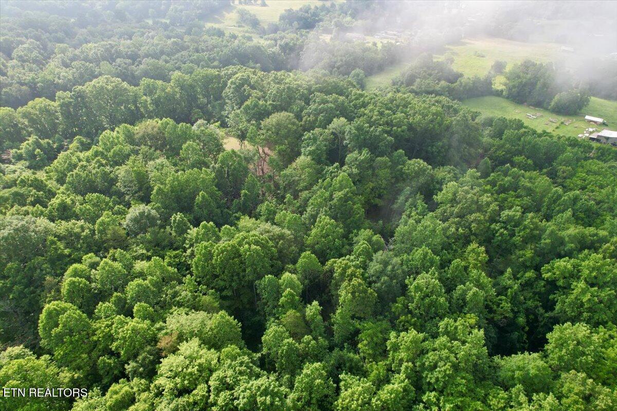 Norris Lake Real Estate - Image# 50