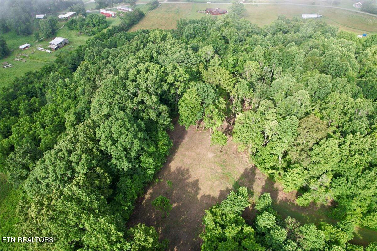 Norris Lake Real Estate - Image# 56