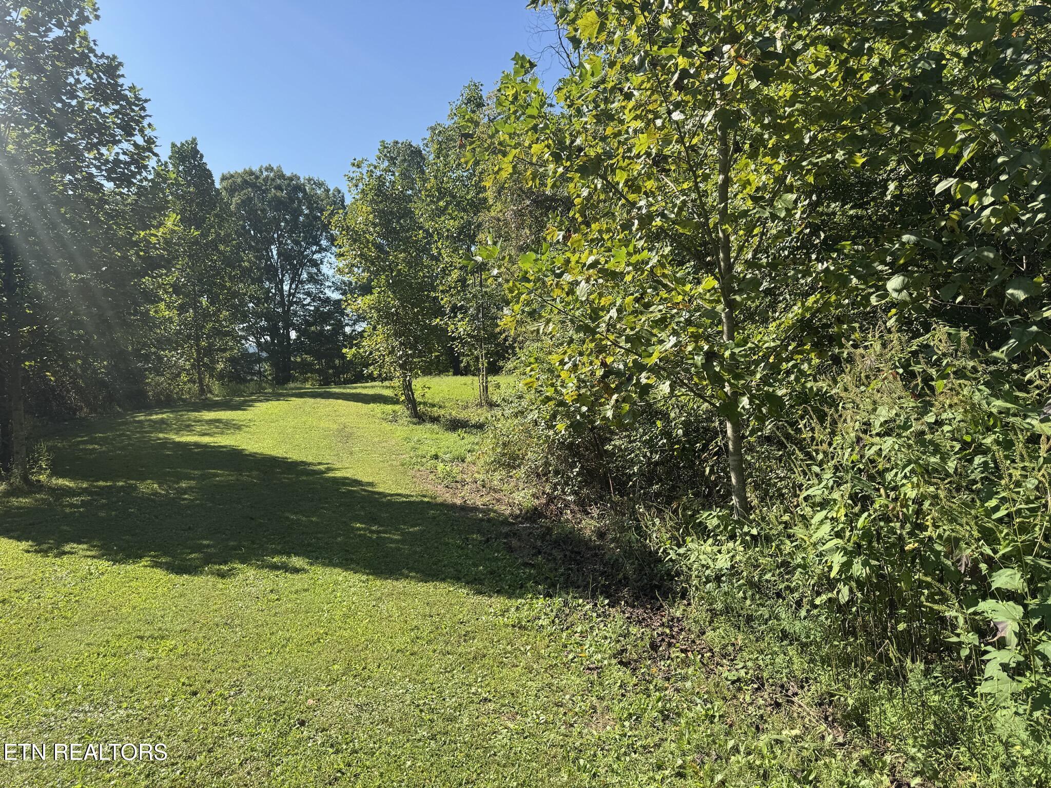 Norris Lake Real Estate - Image# 4