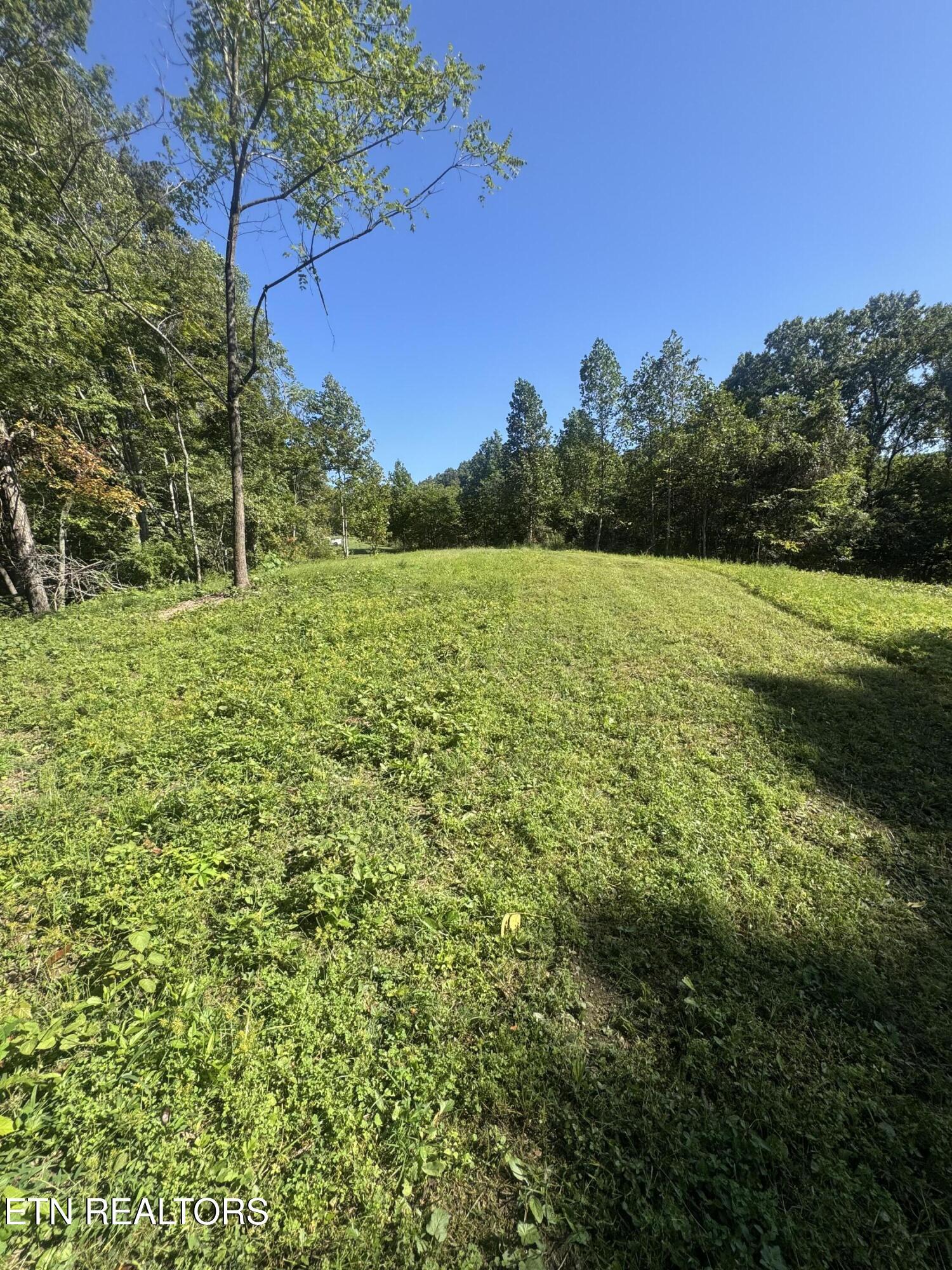 Norris Lake Real Estate - Image# 2