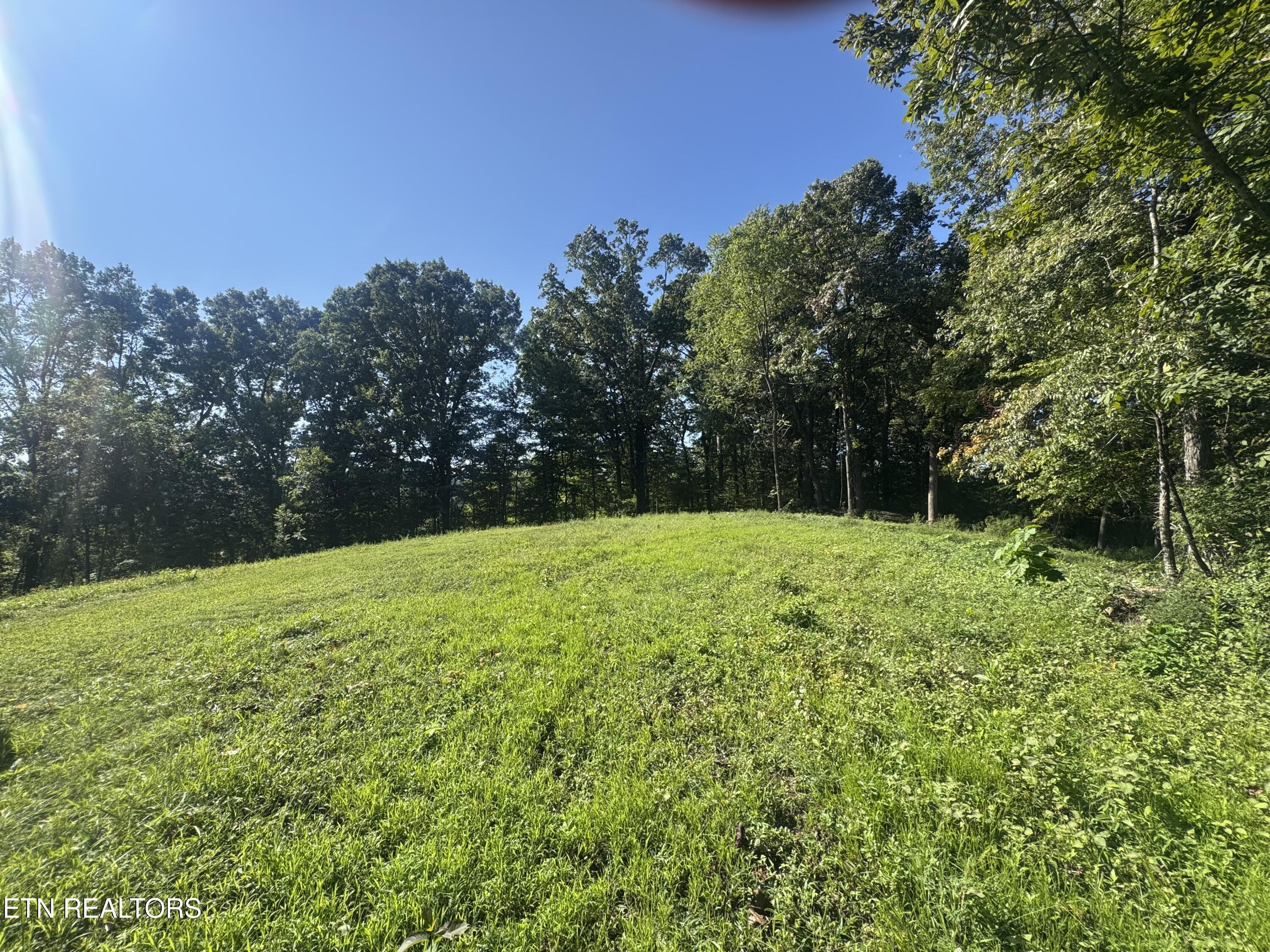 Norris Lake Real Estate - Image# 10