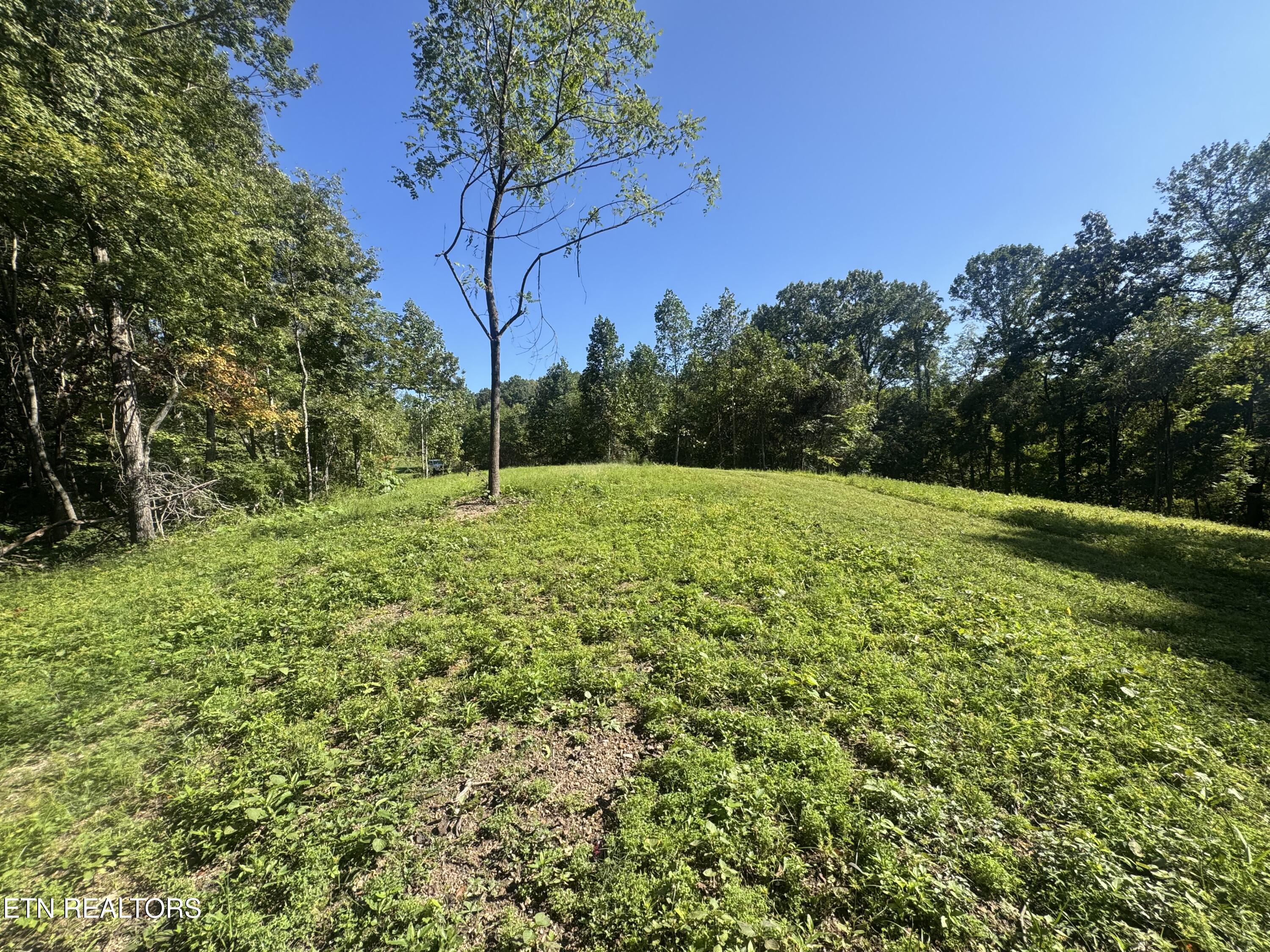 Norris Lake Real Estate - Image# 12