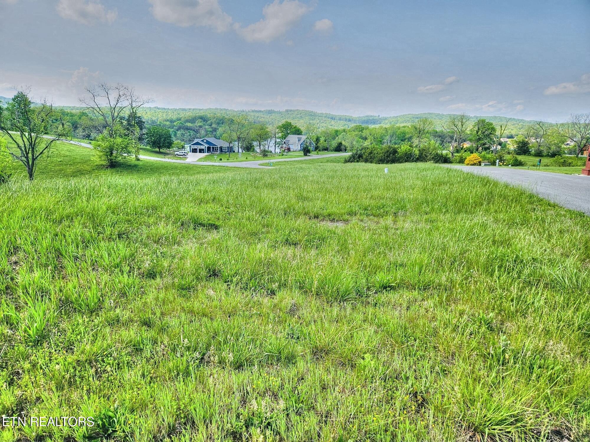 Norris Lake Real Estate - Image# 10